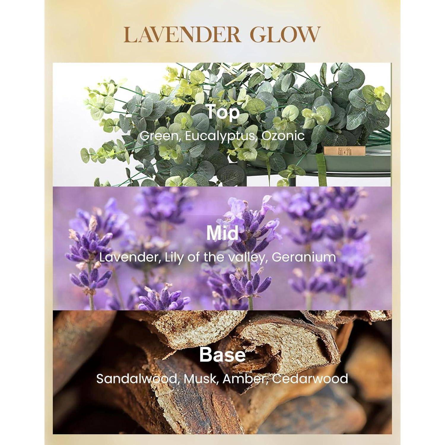 Duftnote von 'Lavender Glow': Kopfnoten von Grün, Eukalyptus, Ozon; Herznoten von Lavendel, Maiglöckchen, Geranium; Basisnoten von Sandelholz, Moschus, Bernstein, Zedernholz.