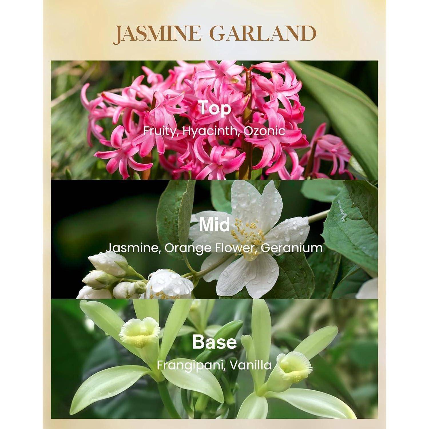 Duftkerze Sojawachs Glas Jasmin 75h Brenndauer Hochzeiten 400g Jasmin