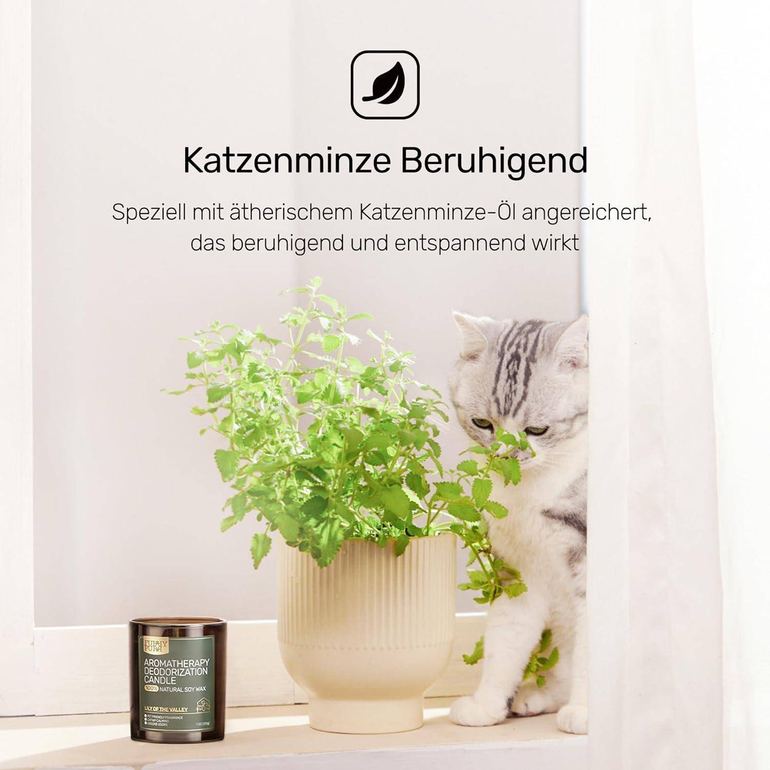 Eine weiße Katze schnüffelt an einer Katzenminze-Pflanze in einem beigen Topf. Text auf Deutsch wirbt für beruhigendes Katzenminze-Öl zur Entspannung neben einer Kerze.