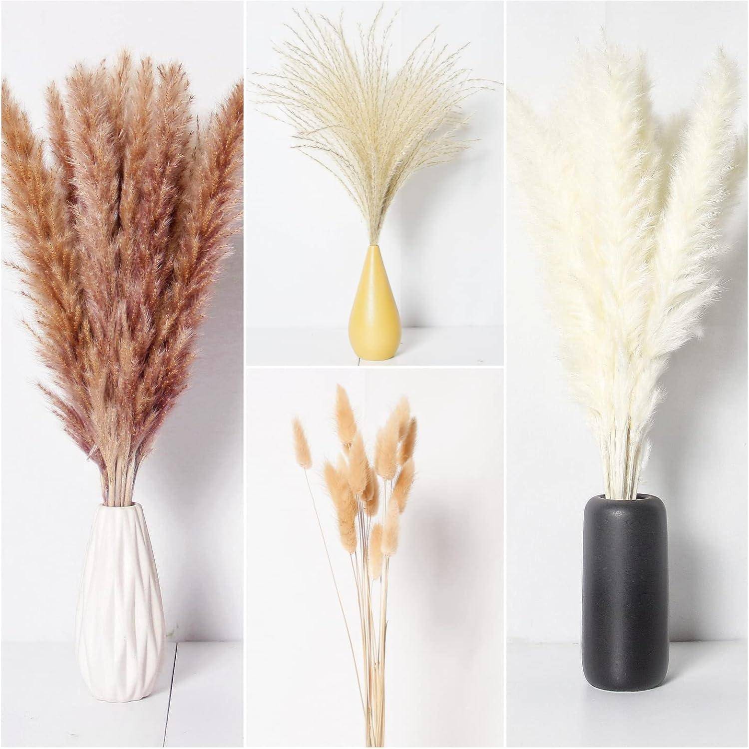 Drei Vasen zeigen verschiedene Arten von Pampasgras: braun in einer weißen Vase, beige in einer gelben Vase und weiß in einer schwarzen Vase.