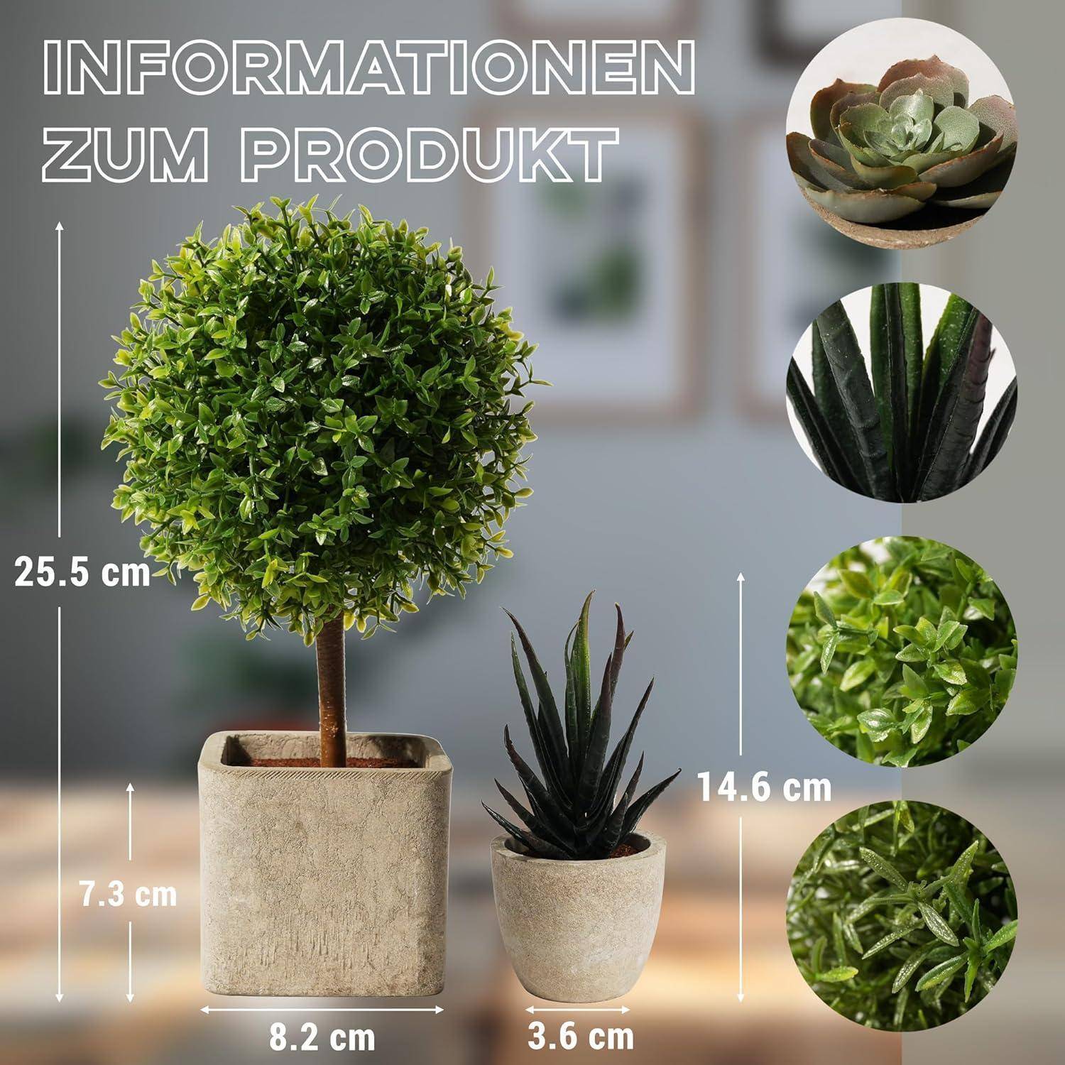 Ein Tischdekoration-Topiary und Pflanze mit 'Produktinformationen', Maße: Topiary 25,5 cm Höhe, Pflanze 14,6 cm.