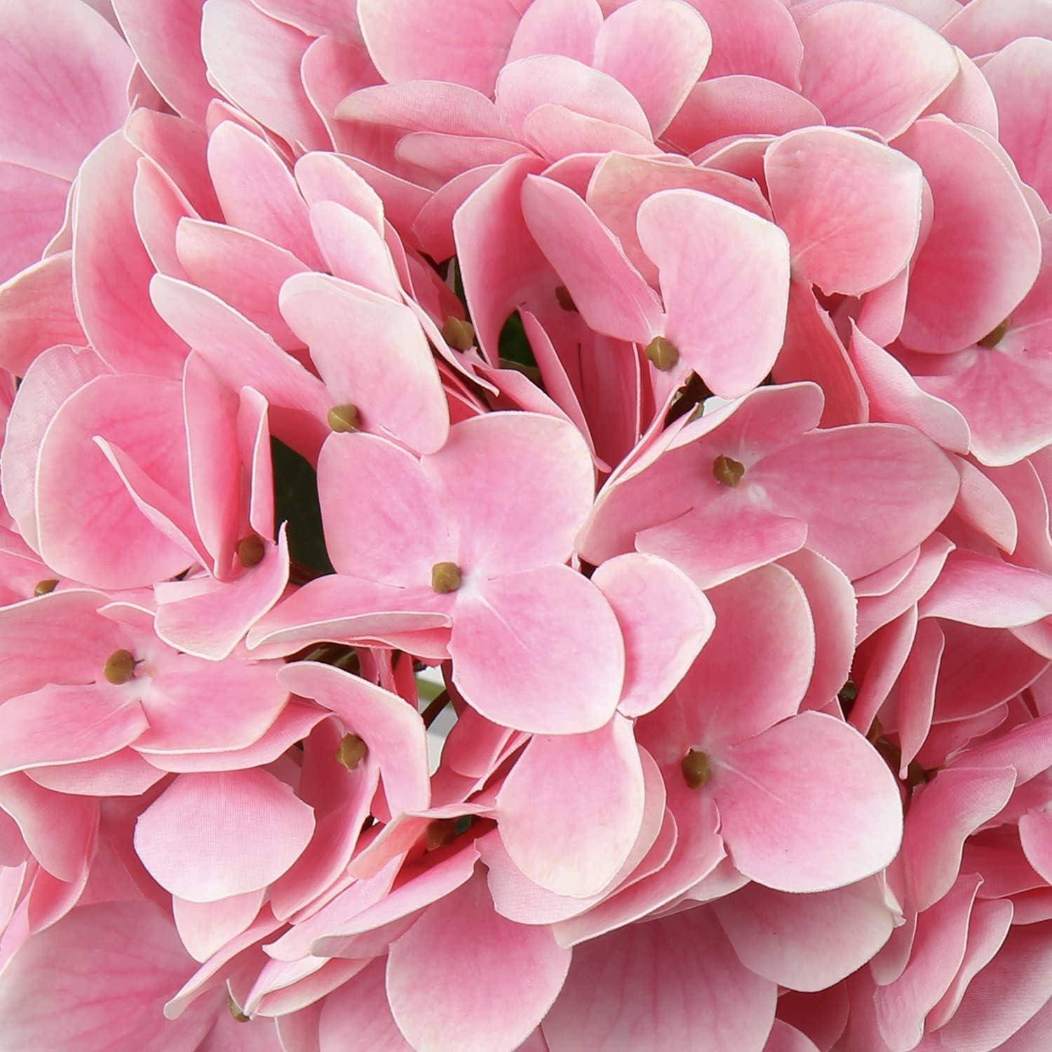 Ein Nahaufnahmebild eines Clusters von rosa Hortensienblüten, die ihre zarten Blütenblätter und weiche Farbe zur Geltung bringen.