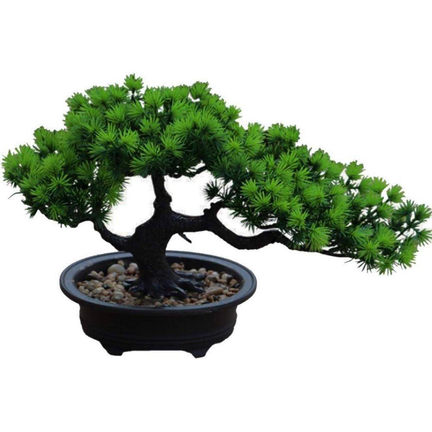 Künstlicher Bonsai-Baum Japanische Kiefern-Pflanze 19 cm 34 cm
