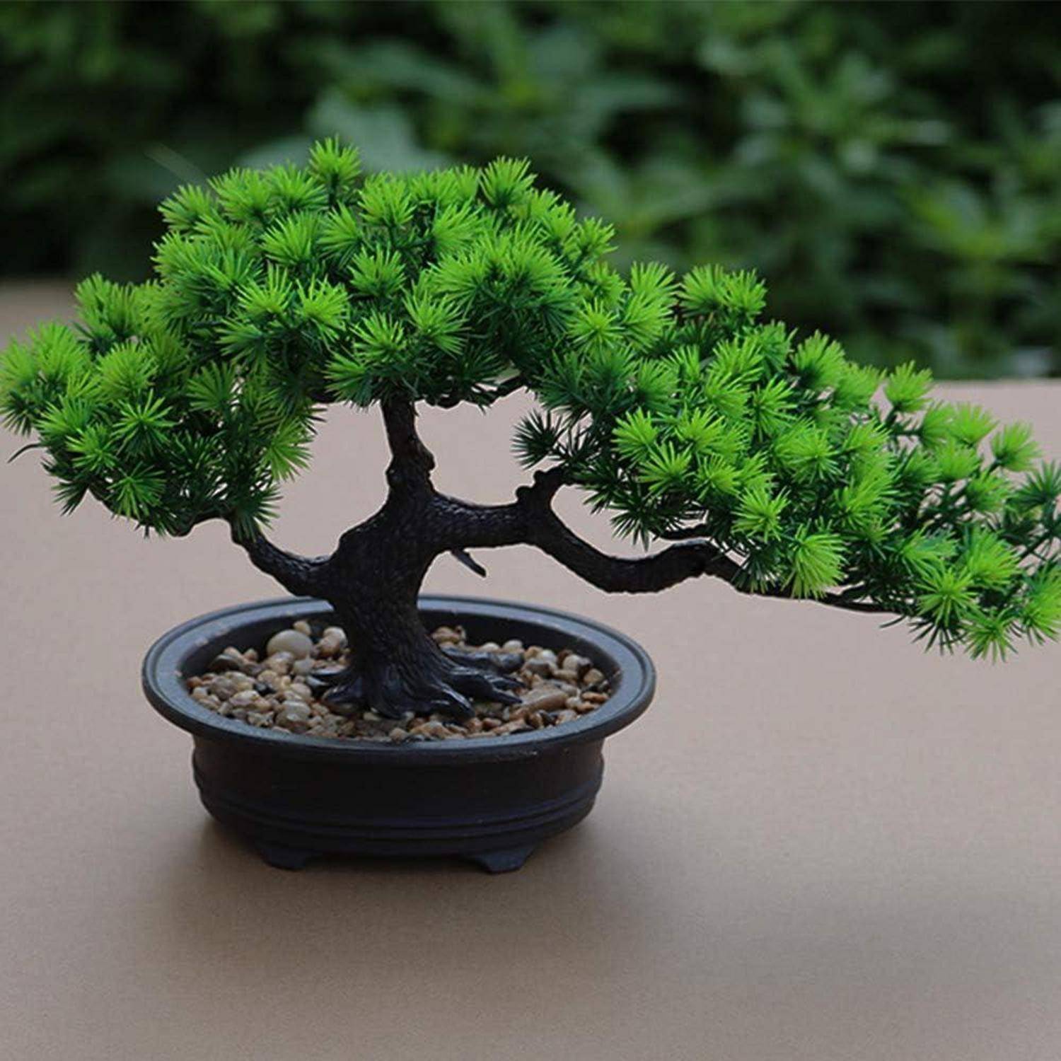 Künstlicher Bonsai-Baum Japanische Kiefern-Pflanze 19 cm 34 cm