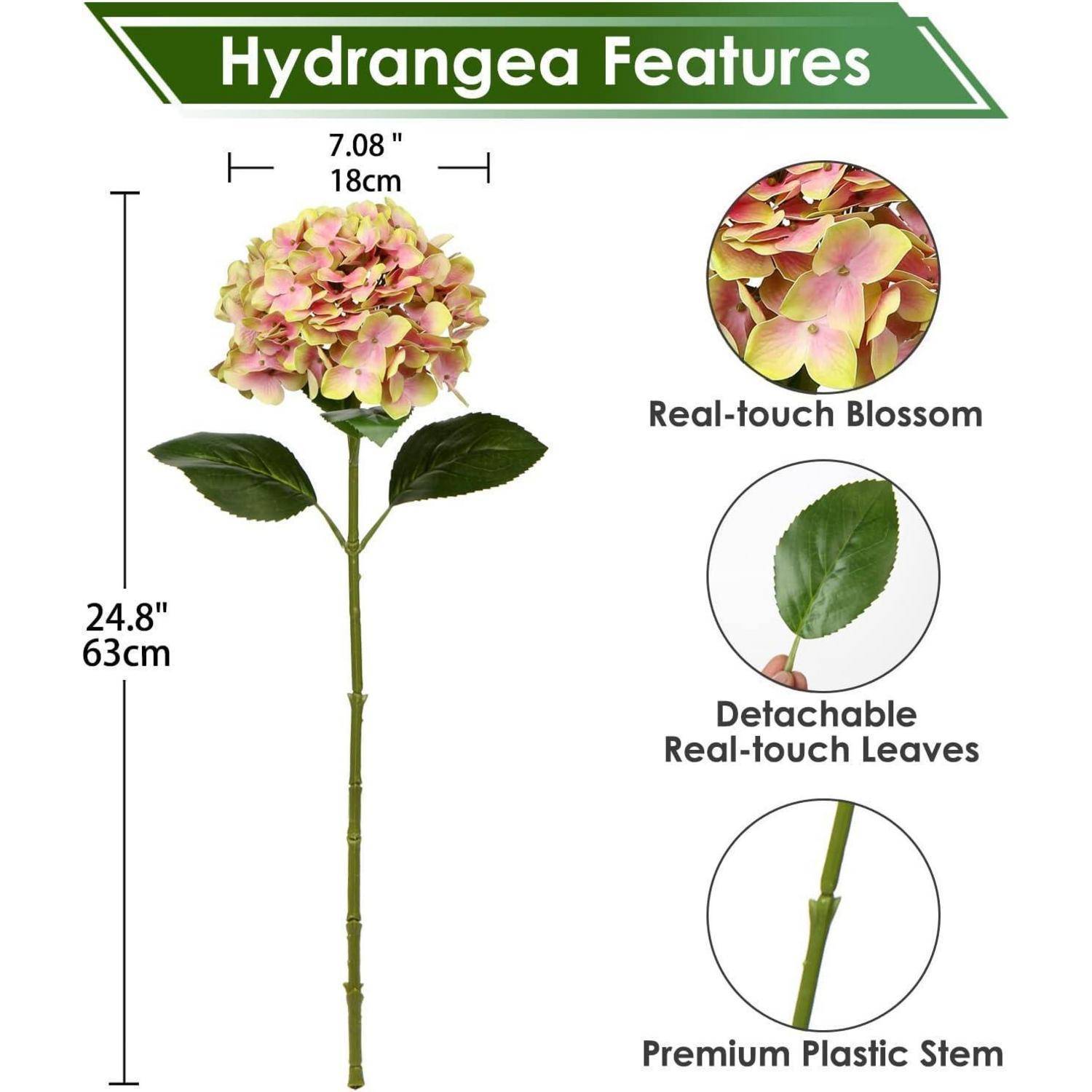 Bild zeigt Hydrangea-Merkmale: ein 62,99 cm langer Stängel mit abnehmbaren Echtblättern und einer 17,98 cm großen Echtblüte.