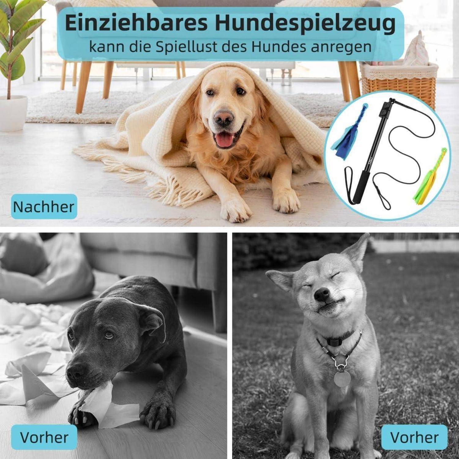 Ein beiger Hund liegt unter einer Decke in einem Wohnzimmer, beschriftet mit ‚Nachher'. Zwei Hunde kauen an Gegenständen in Schwarzweißbildern, beschriftet mit ‚Vorher'. Der Text lautet ‚Einziehbares Hundespielzeug kann die Spiellust des Hundes anregen' mit gezeigten Spielzeugen.