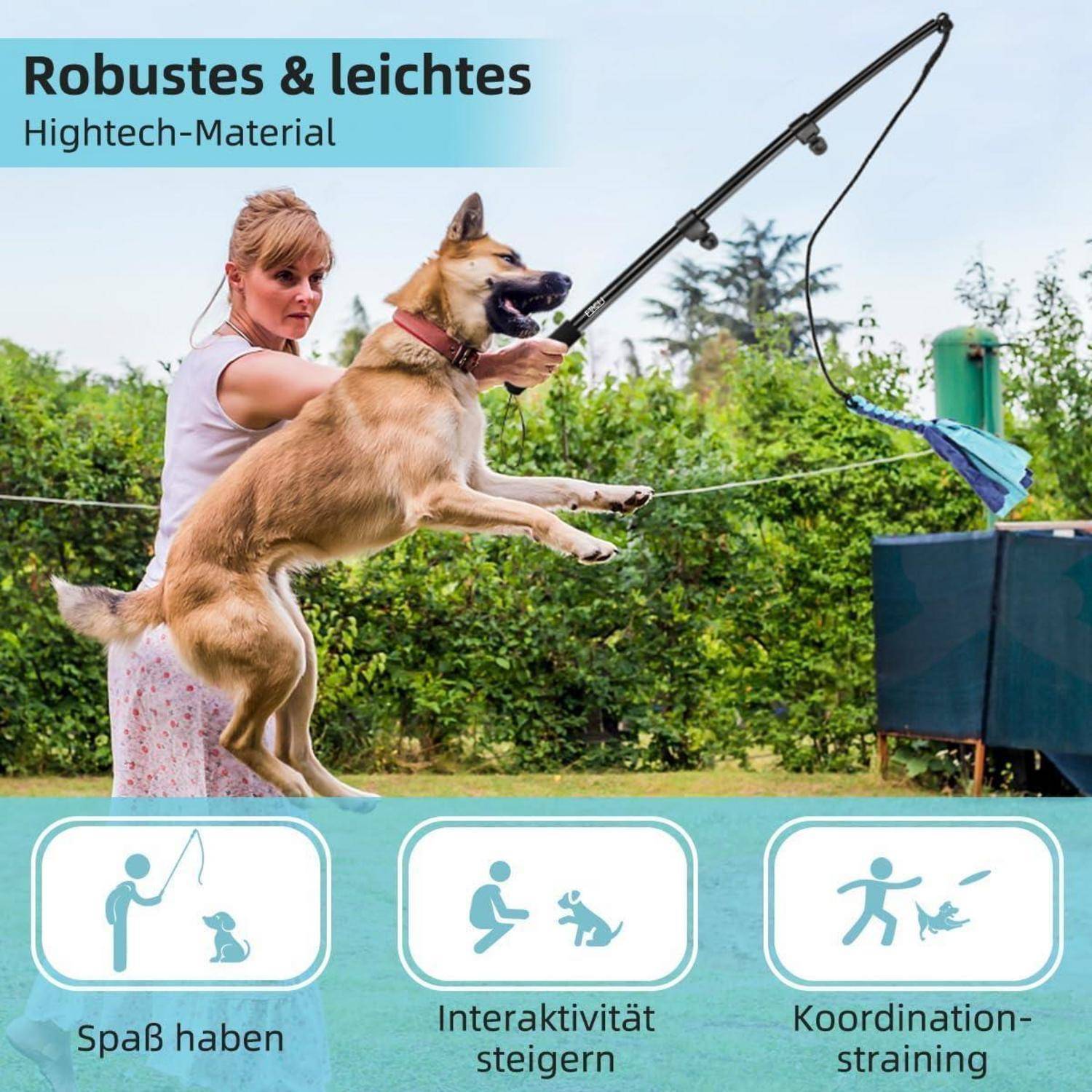 Eine Frau betreibt Agility-Training mit einem springenden Hund. Die Textmarkierungen heben die Vorteile hervor: ‚Spaß', ‚Verbessert Interaktion' und ‚Koordinationstraining'.