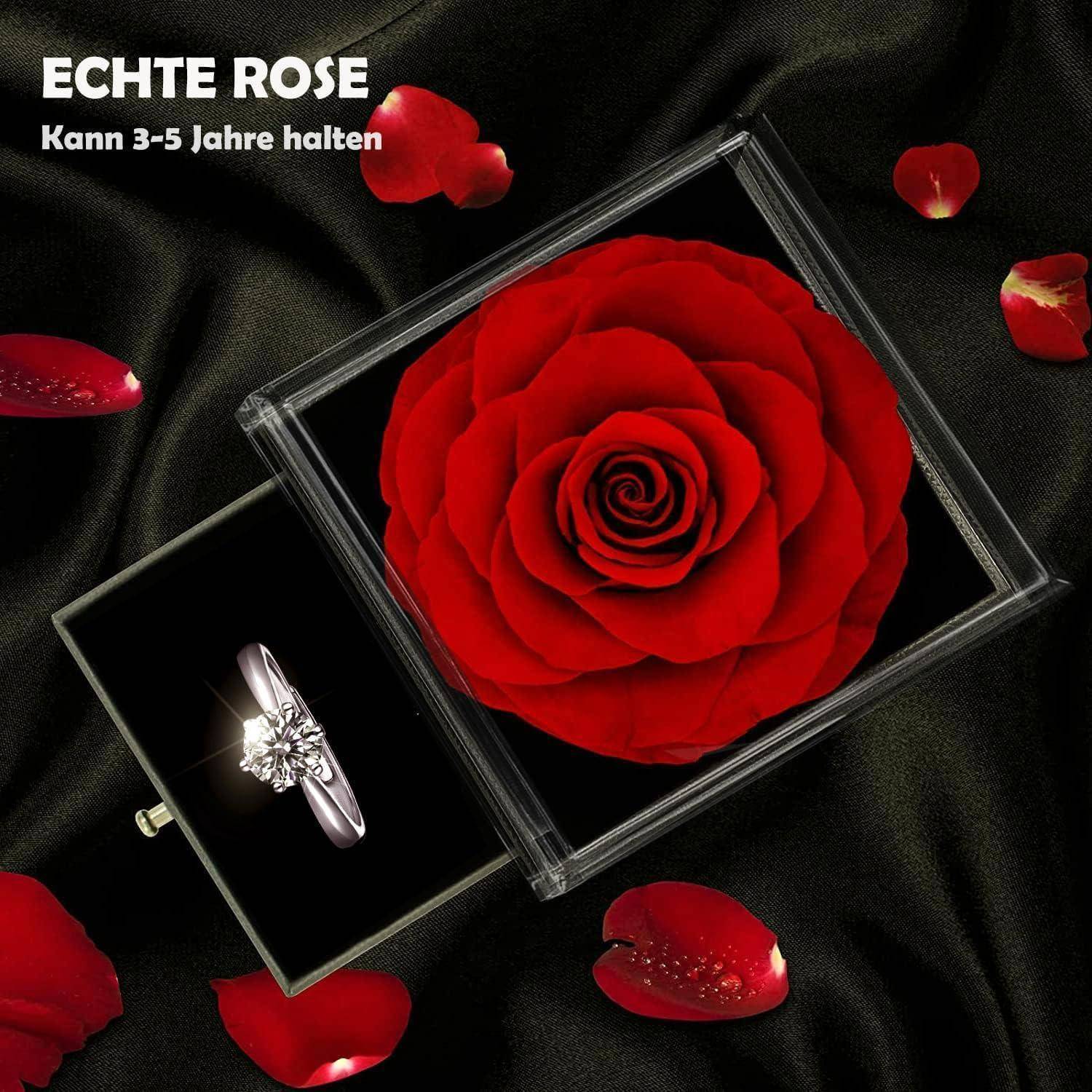 Eine rote Rose in einer transparenten Box mit einem Diamantring daneben, auf einem schwarzen Tuch mit verstreuten Rosenblättern. Text: 'ECHTE ROSE Kann 3-5 Jahre halten'.