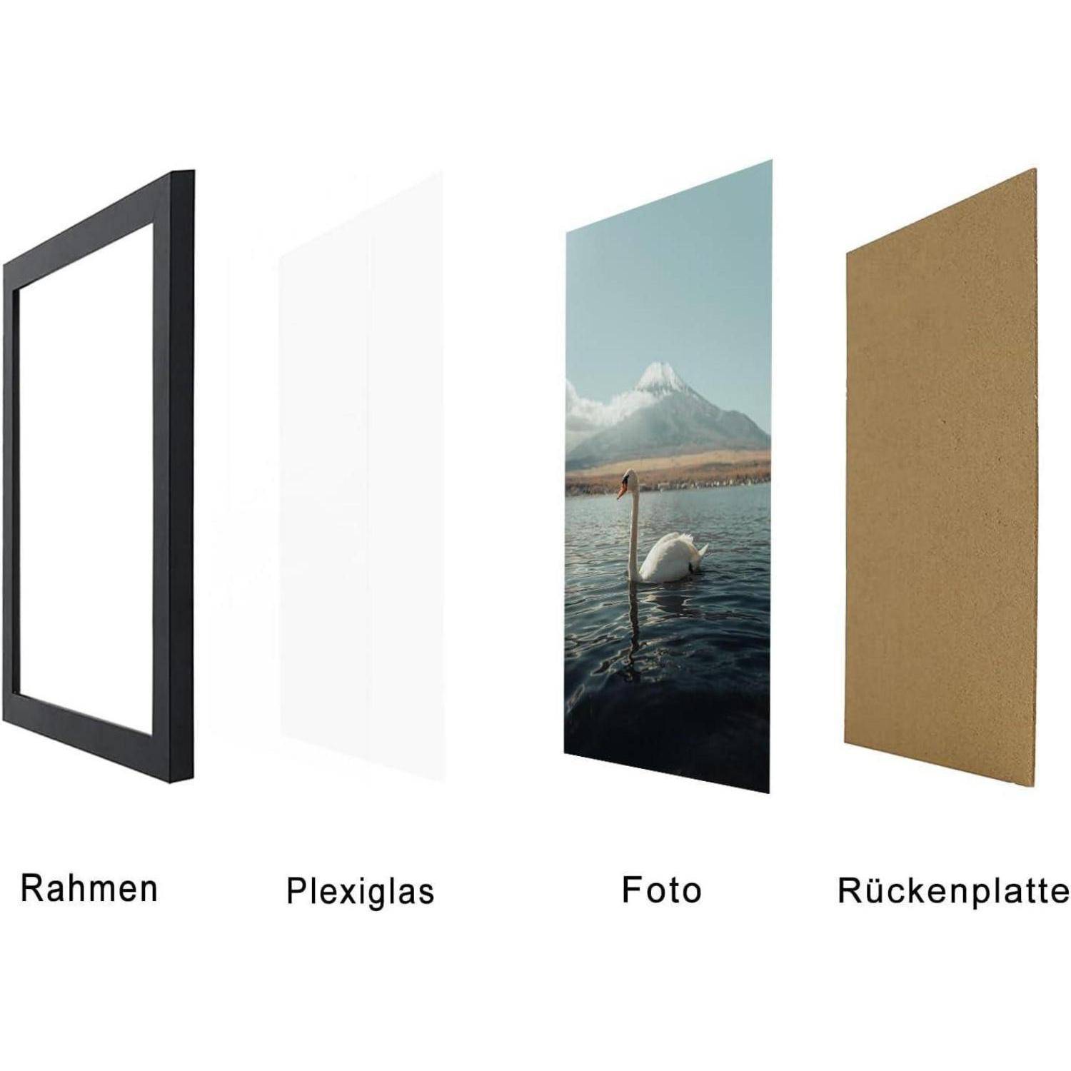 Darstellung der Komponenten eines Bilderrahmens: ein schwarzer Rahmen, durchsichtiges Plexiglas, ein Foto eines Schwans auf dem Wasser und eine Rückwand.
