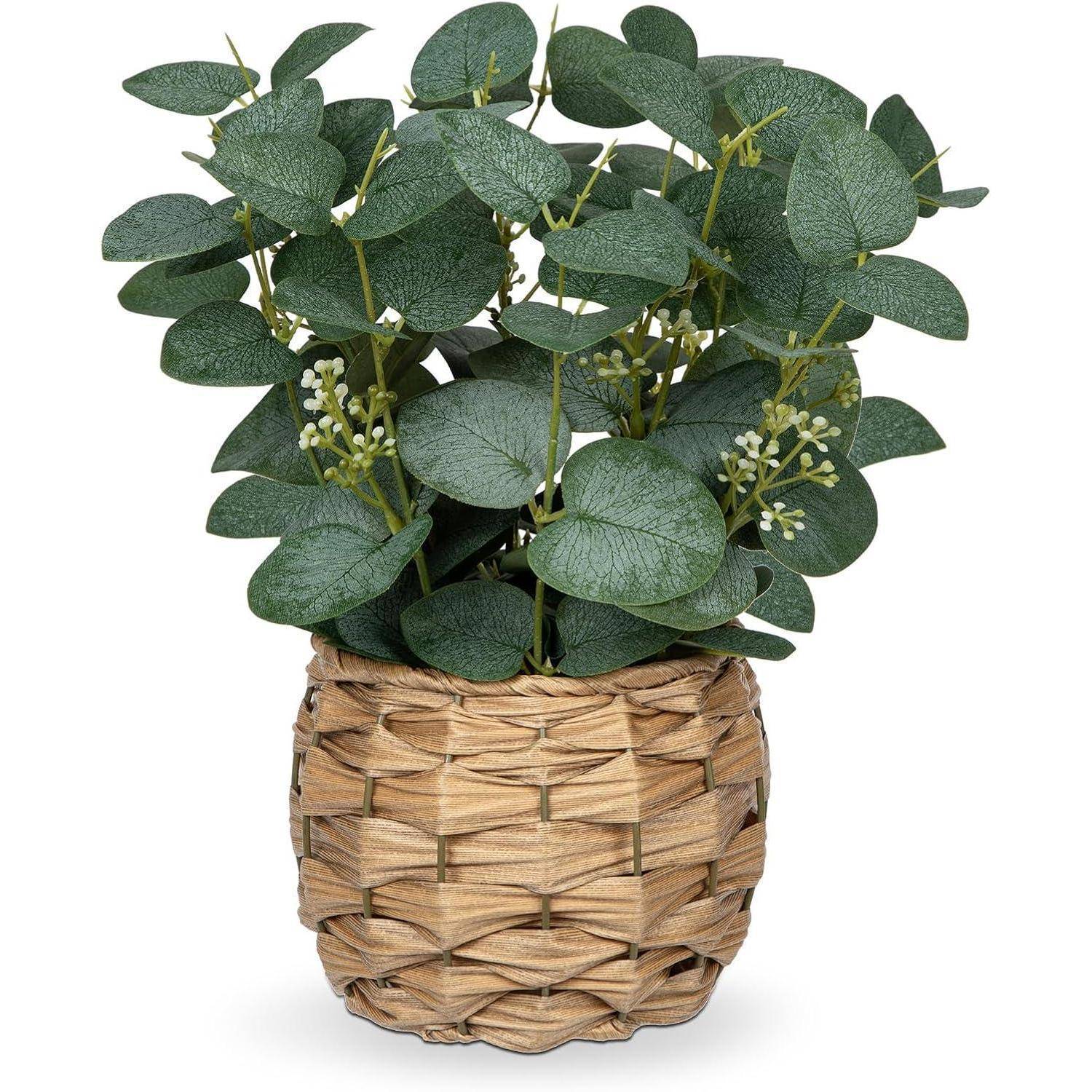 Kunstpflanze Eukalyptus Dekopflanze Topf 28 cm Grün S