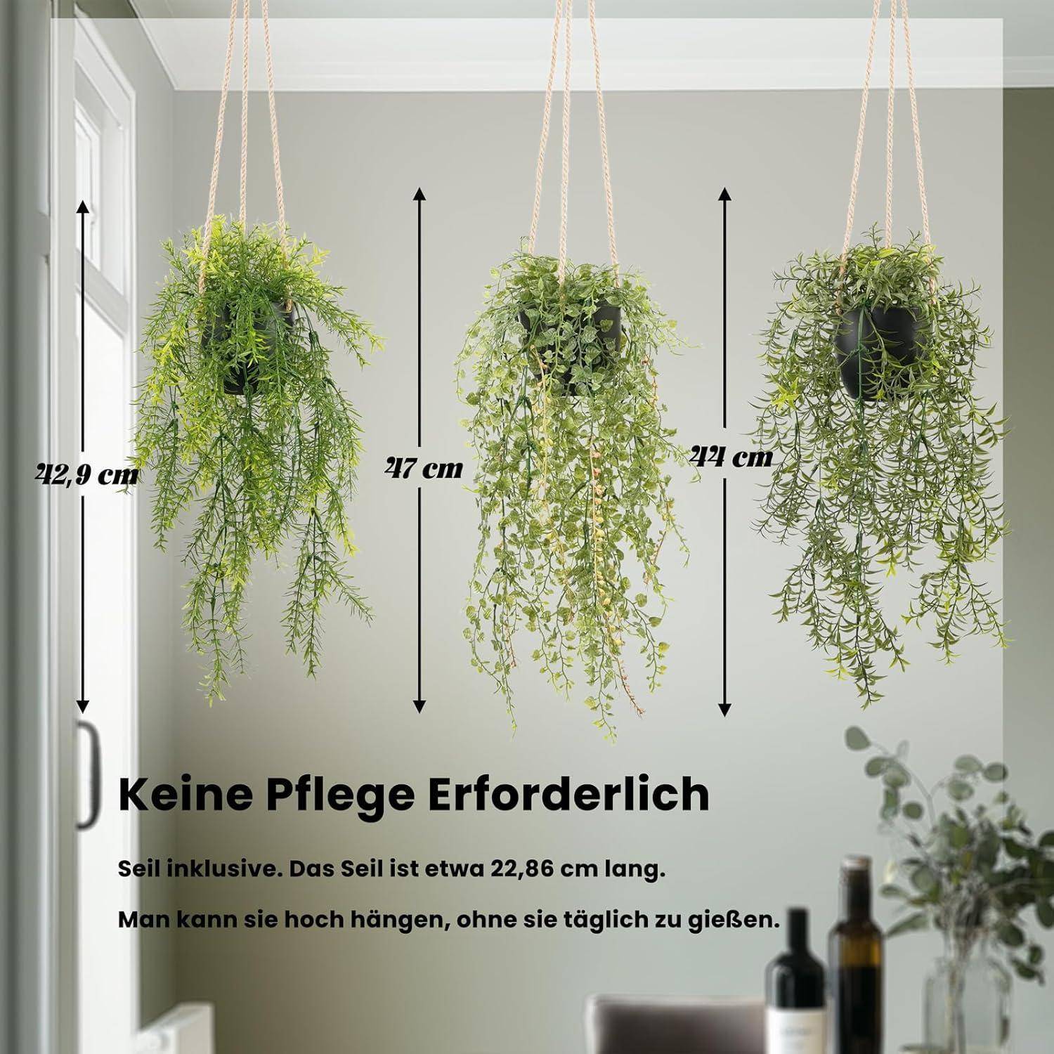 Drei Hängepflanzen mit unterschiedlichen Längen gekennzeichnet (47 cm, 22,86 cm, 41 cm). Text lautet 'Keine Pflege Erforderlich.' Indoor-Umgebung.