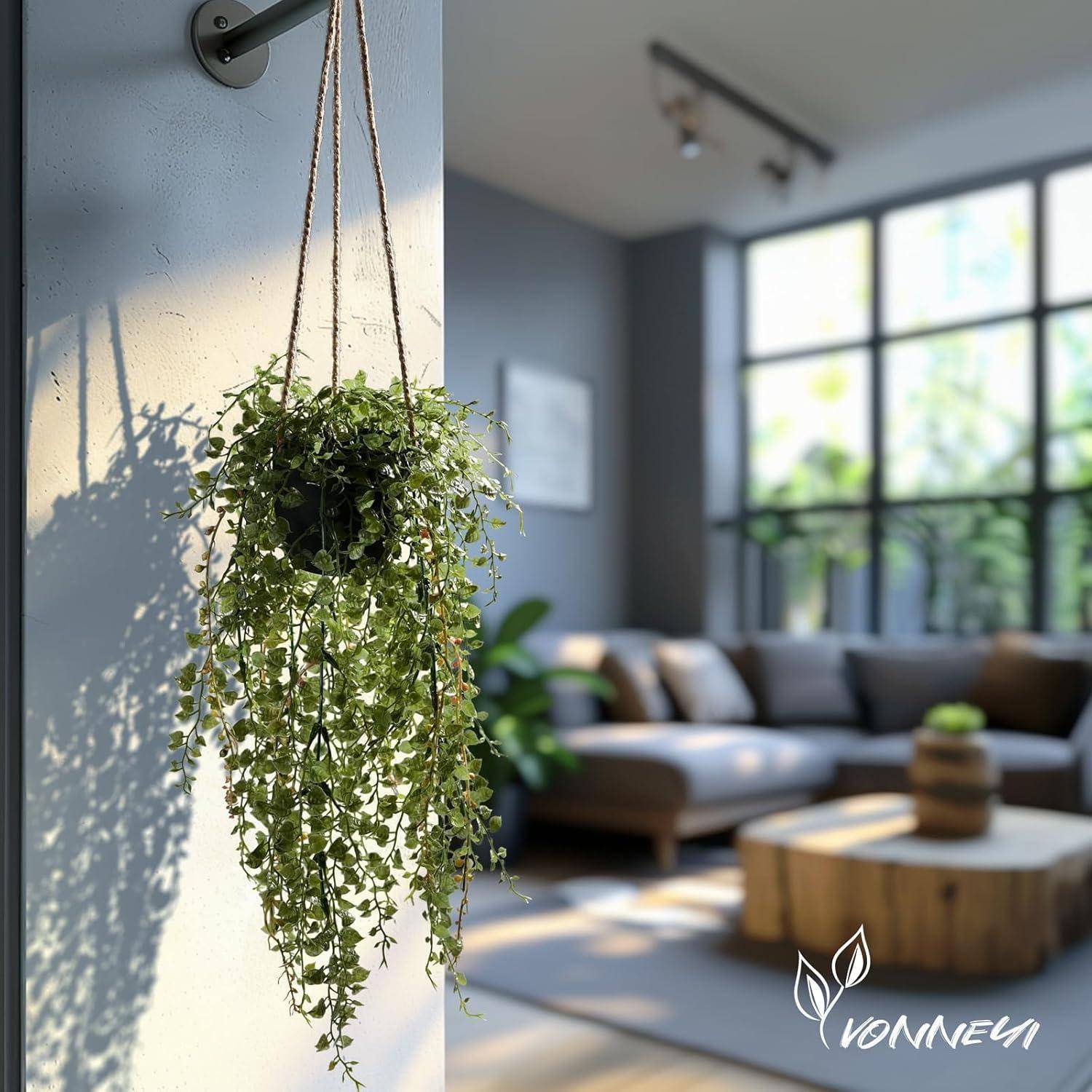 Eine hängende Pflanze mit herabhängenden grünen Blättern wird von Sonnenlicht beleuchtet in einem modernen Wohnzimmer mit einem grauen Sofa und einem Holztisch.