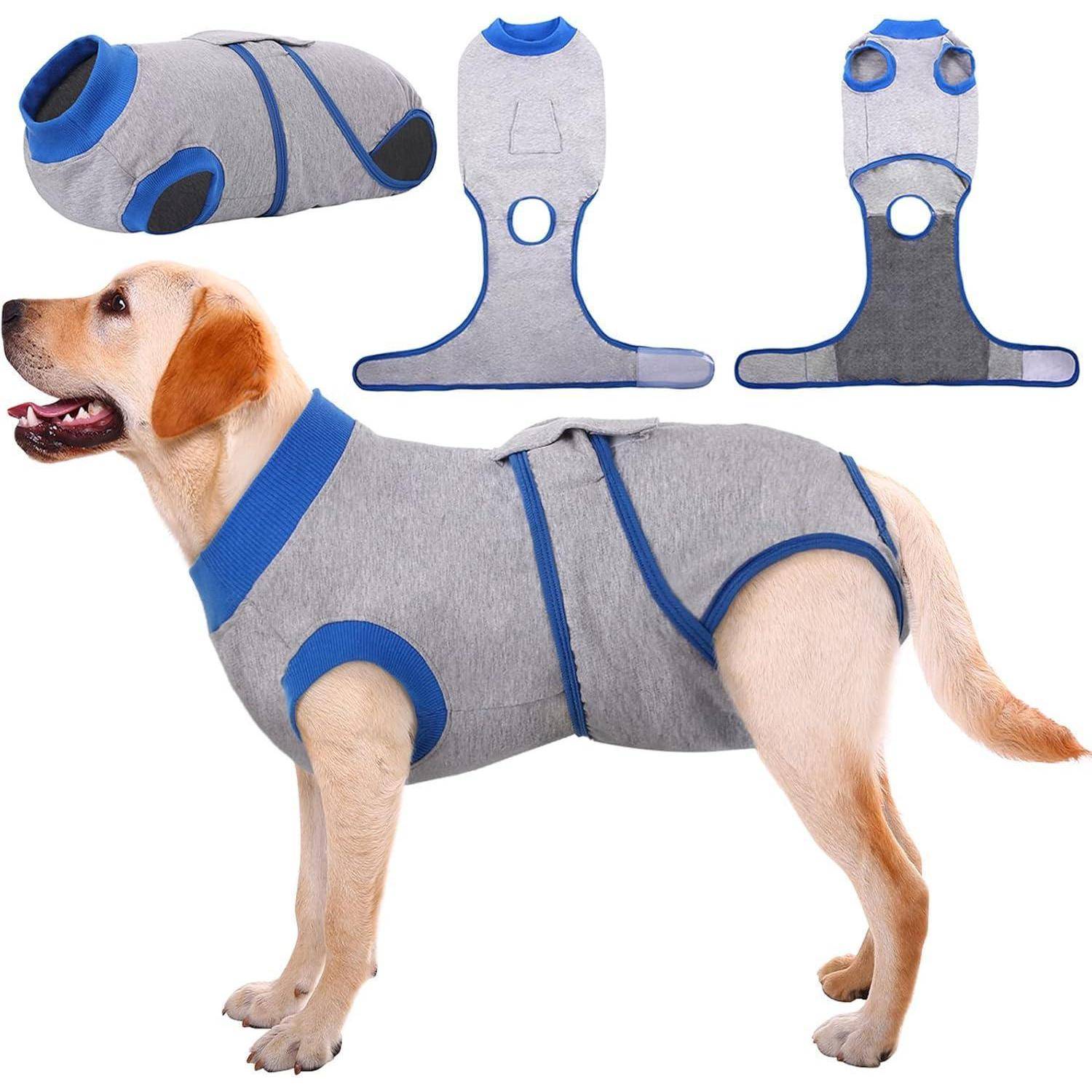 Hund, der eine graue und blaue Angstweste trägt, mit Darstellung verschiedener Winkel der Weste: Vorderansicht, Rückansicht, Seitenansicht und detaillierte Öffnungen für die Beine.