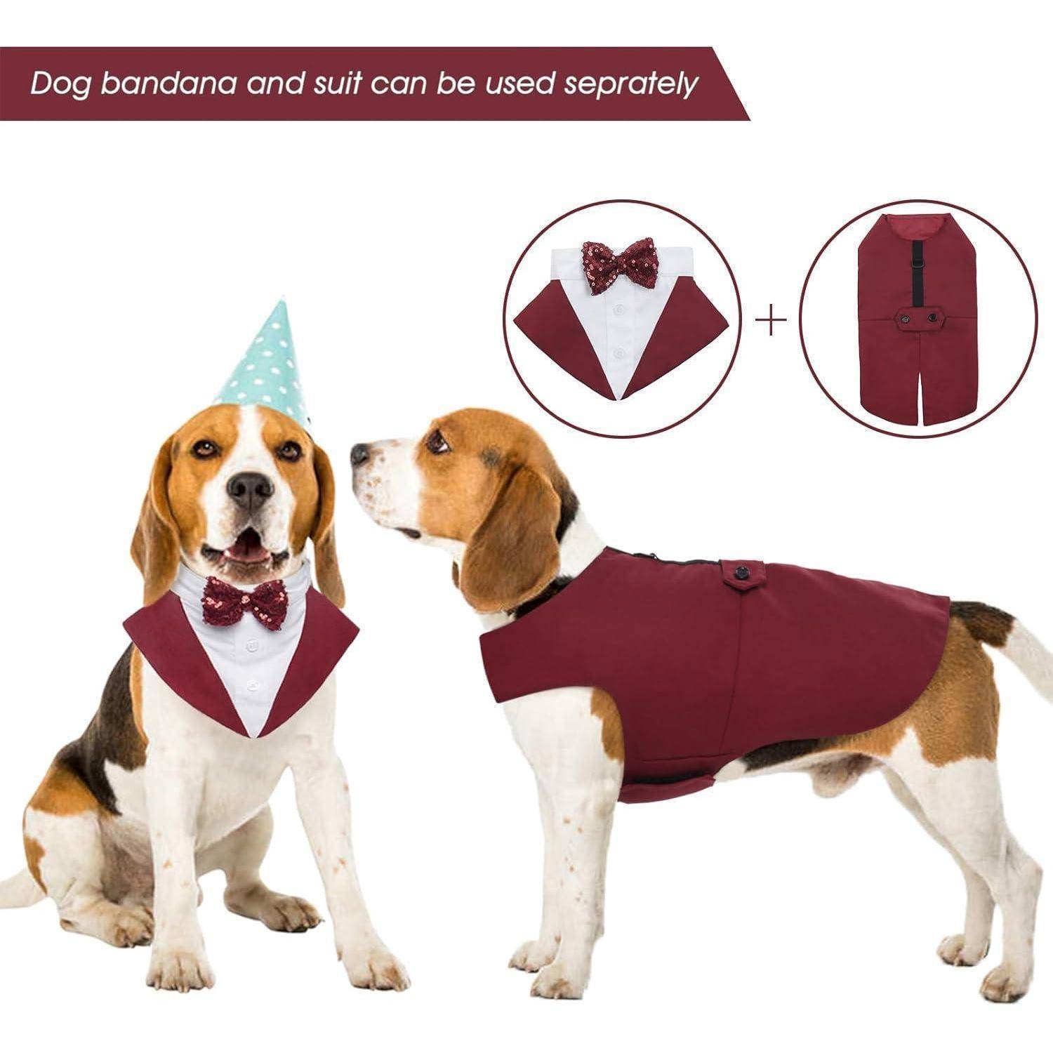 Zwei Beagles, einer sitzend, einer stehend, tragen bordeauxrote Anzüge mit Fliegen. Einschub zeigt das Zweiteiler-Design. Text: ‚Hundehalstuch und Anzug können separat verwendet werden.