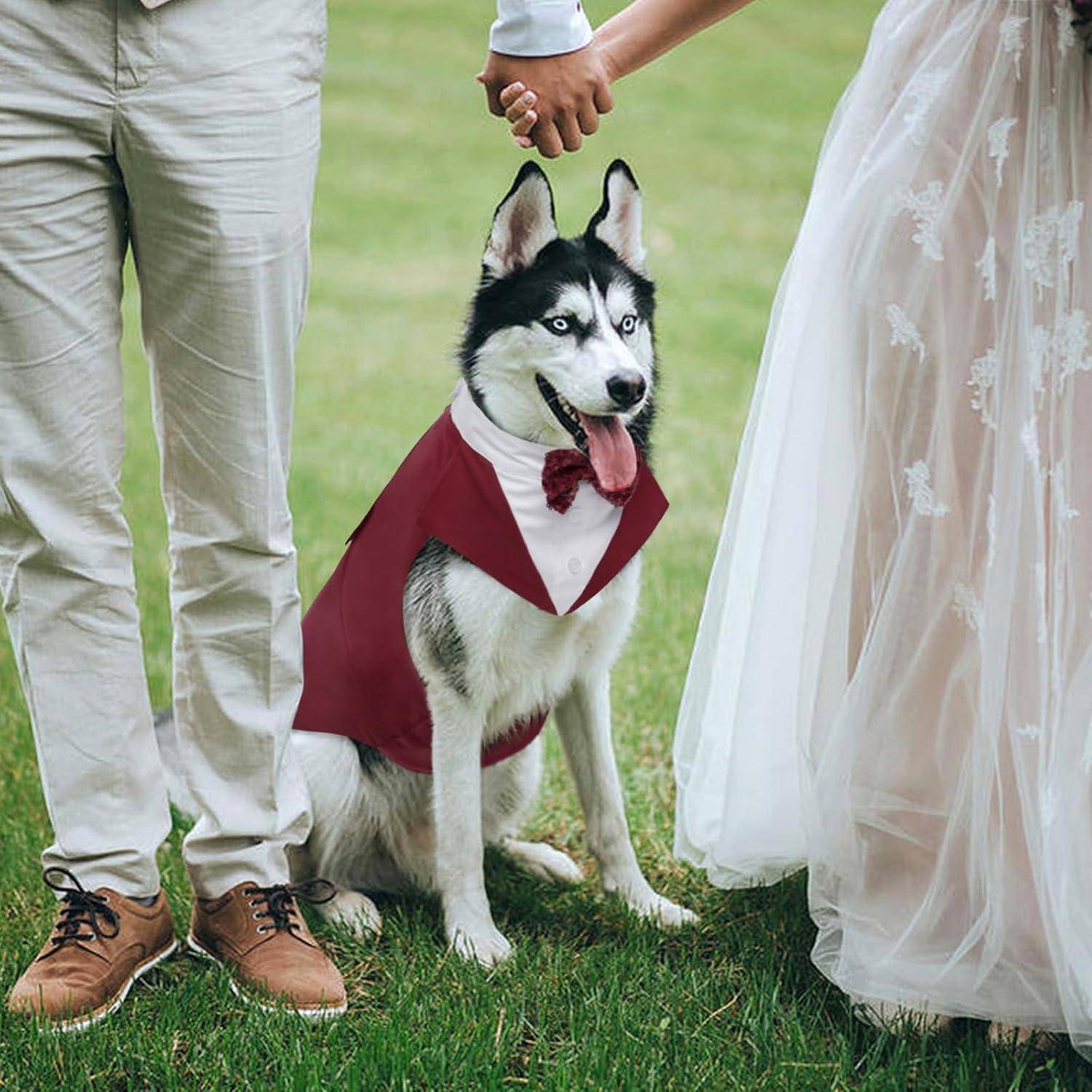 Ein Husky-Hund in einer roten Weste und mit Fliege steht zwischen einem Paar in Hochzeitskleidung auf Gras und symbolisiert eine verspielt-elegante Hochzeitsszene.