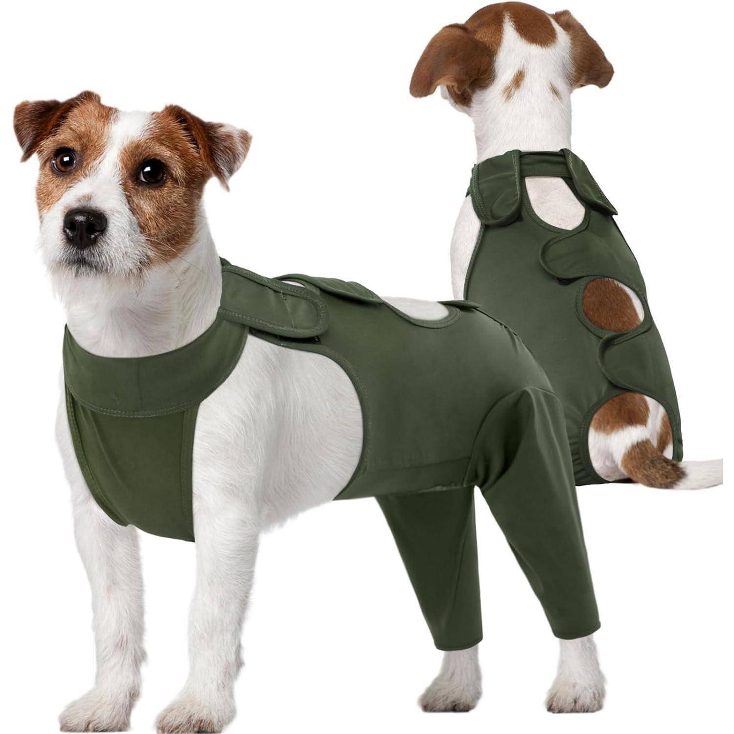 Zwei kleine Hunde tragen grüne Ganzkörper-Genesungsanzüge, die für die Zeit nach einer Operation oder zum Schutz vor Allergien konzipiert sind, und stehen in unterschiedliche Richtungen blickend.