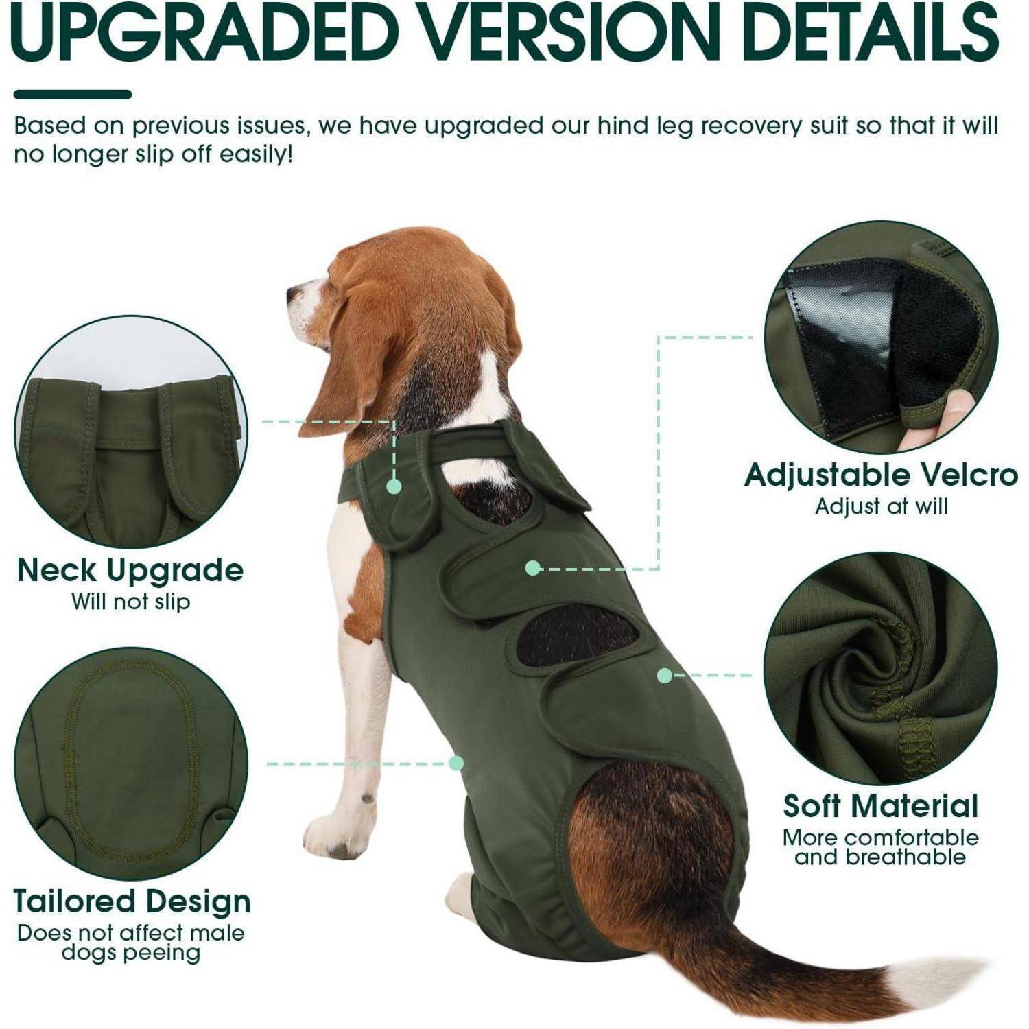 Ein Beagle, der einen grünen Genesungsanzug trägt, mit folgenden Merkmalen beschriftet: verstellbarer Klettverschluss, Nackenverbesserung, maßgeschneiderte Passform, weiches Material.
