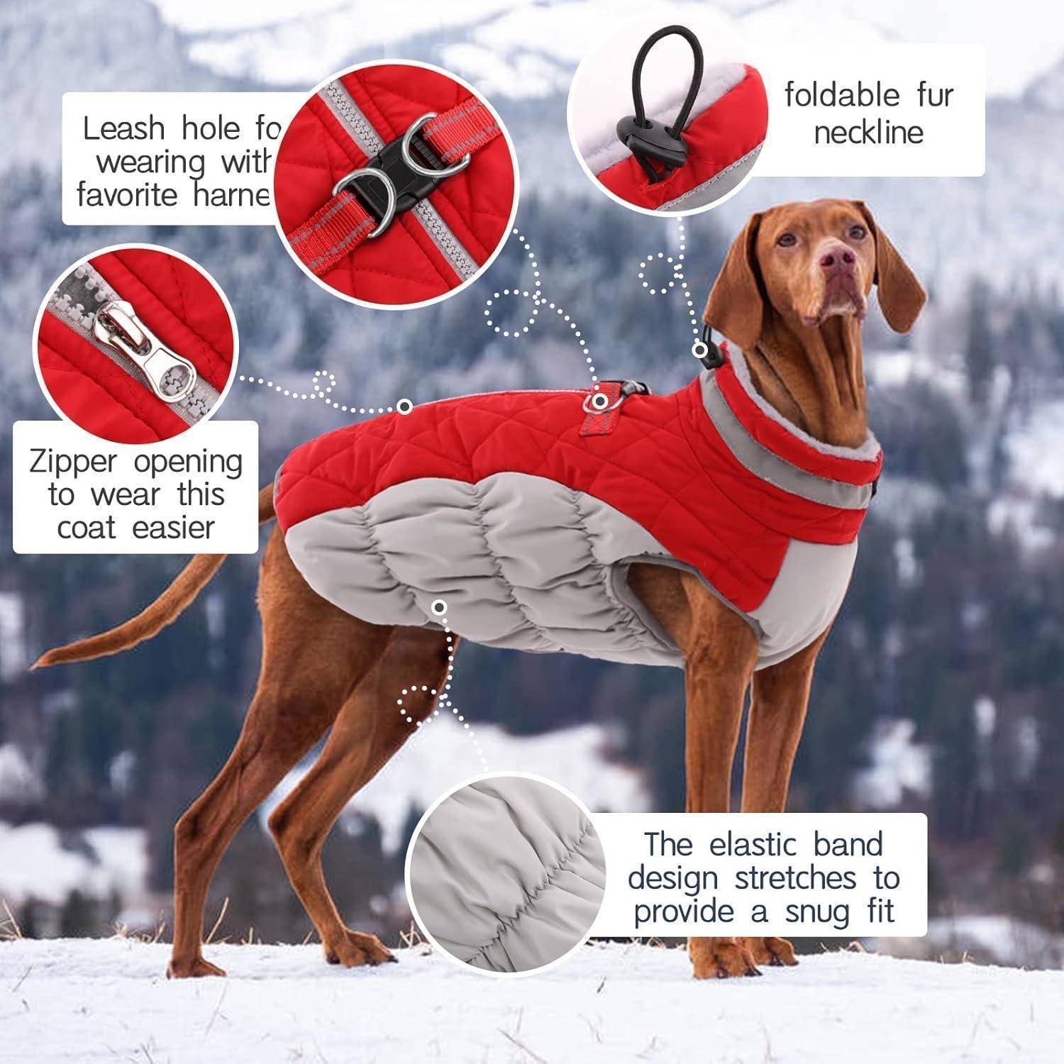 Ein brauner Hund trägt einen rot-grauen Mantel. Textblasen heben Merkmale hervor: Leinenöffnung, Reißverschluss, umschlagbarer Kragen, elastisches Band für optimale Passform. Verschneite Berglandschaft im Hintergrund.