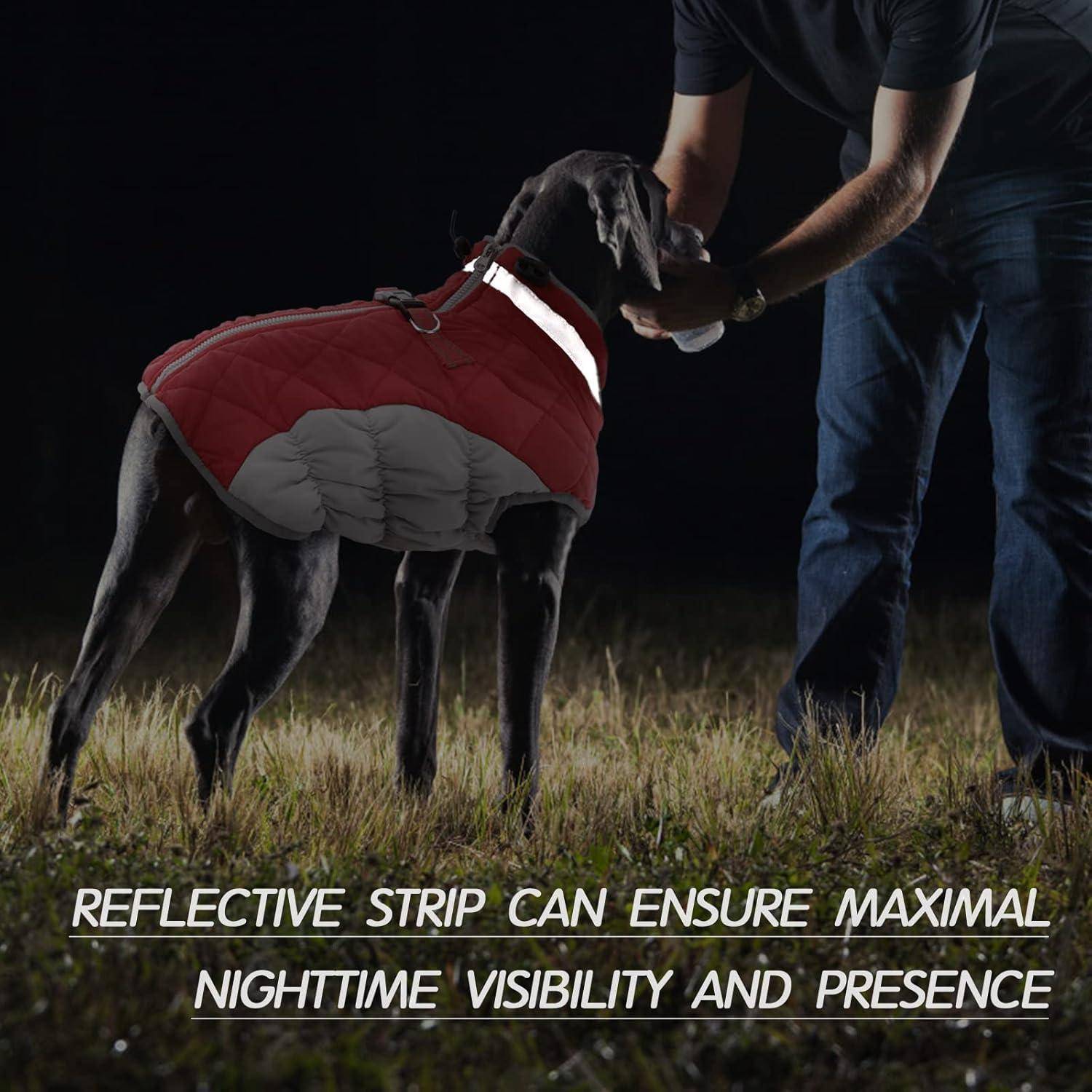 Ein Hund mit einer roten reflektierenden Weste steht zwischen zwei Personen in dunkler Kleidung. Text darunter liest sich: „Reflektierende Streifen können maximale Sichtbarkeit und Präsenz bei Nacht gewährleisten