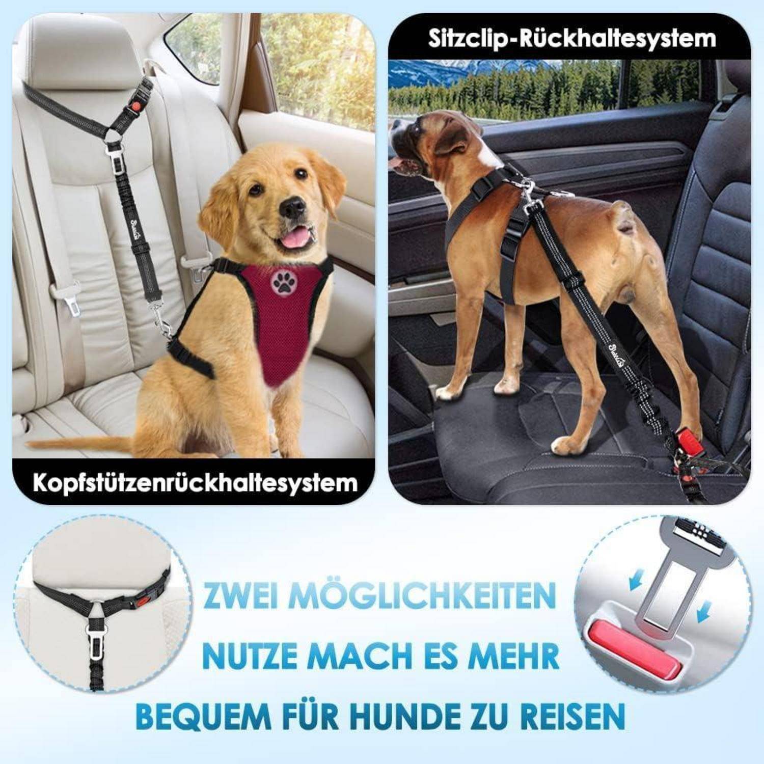 „Zwei Hunde in Autositzen mit Geschirren. Links: kleiner Hund mit Kopfstützengeschirr. Rechts: größerer Hund mit Sitzklemmgeschirr.