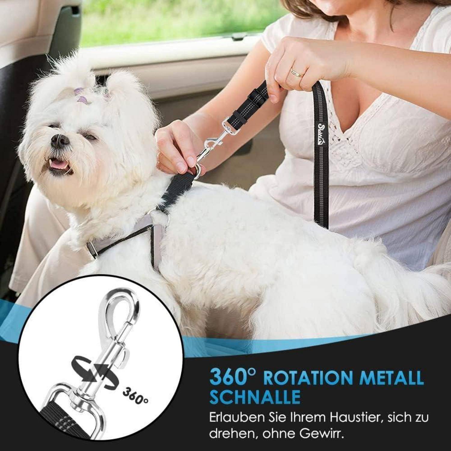 Eine Frau in einem Auto sichert einen kleinen weißen Hund mit einer Leine, die einen 