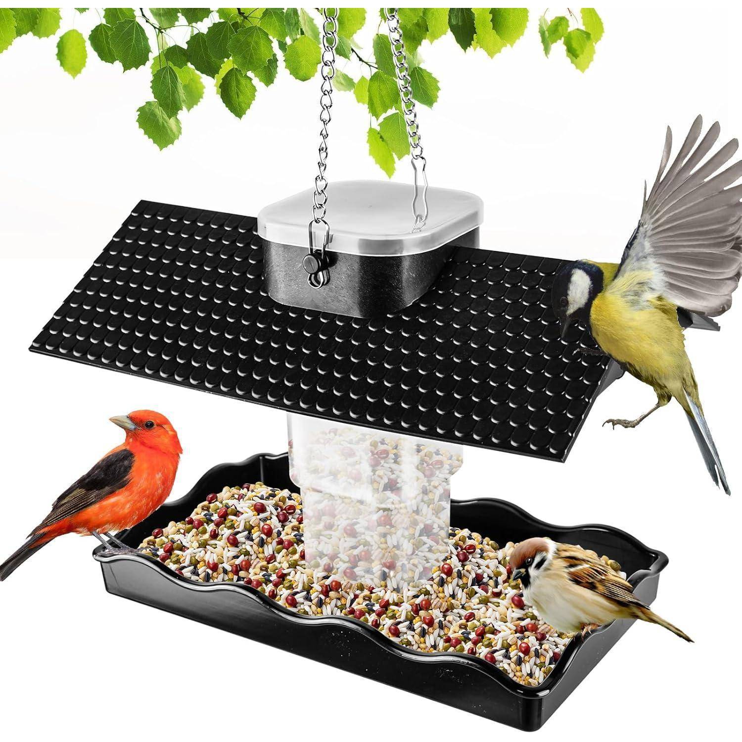 Vogelfutterstelle mit schwarzem Gitterrohrdach, die an Ketten hängt; verschiedene Samen in der Schale locken einen gelben Vogel im Flug, einen roten Vogel und einen braunen Vogel an.