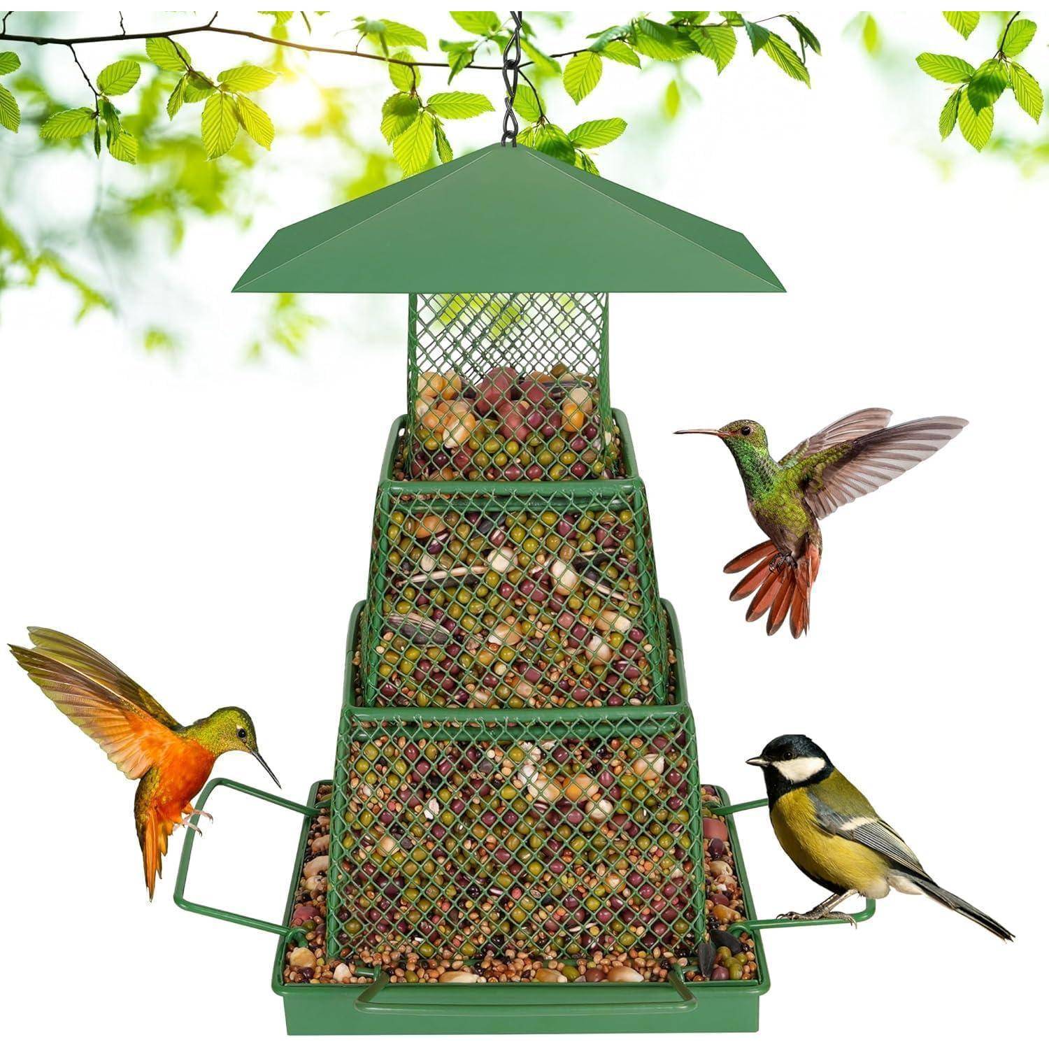 Eine grüne Vogelfutterstation, gefüllt mit Samen, wird von drei farbenprächtige Vögeln umgeben: zwei fliegenden Kolibris und einem kleinen Vogel, der auf einer Halterung der Futterstation sitzt.