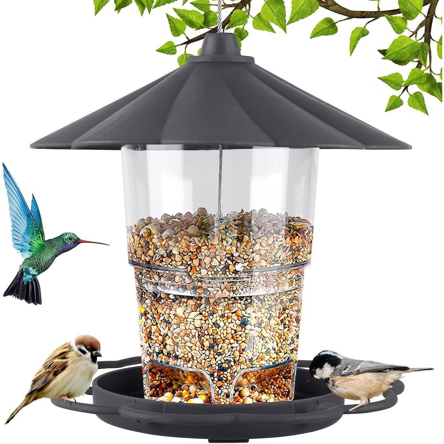 Ein mit Samen gefüllter Vogelfutterhäuser hängt von einem Ast, der einen Kolibri, einen Spatz und einen weiteren kleinen Vogel anzieht.