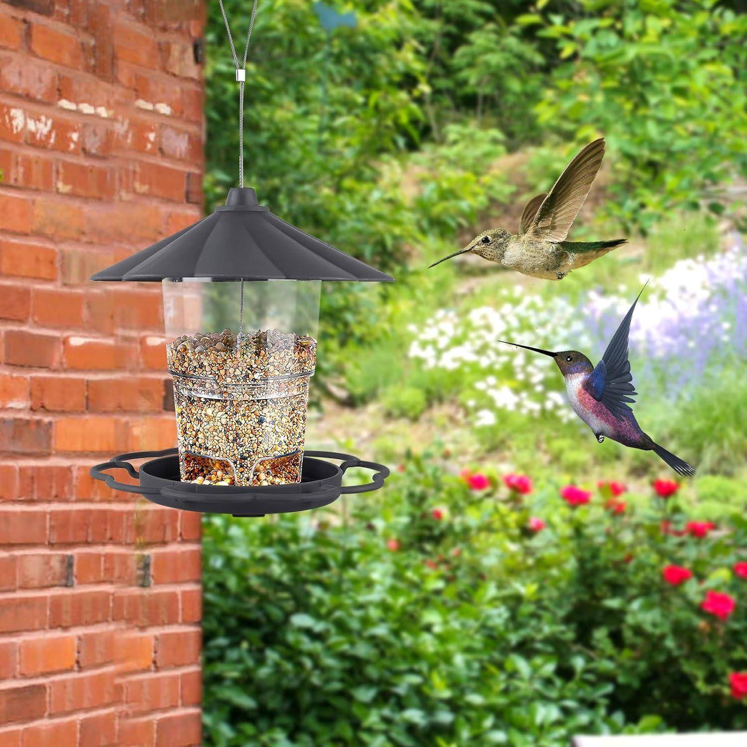 Ein Kolibri und ein anderer Vogel nähern sich einem hängenden Futterhaus, das mit Samen gefüllt ist, vor einem Hintergrund von grünem Laub und einer Ziegelwand.