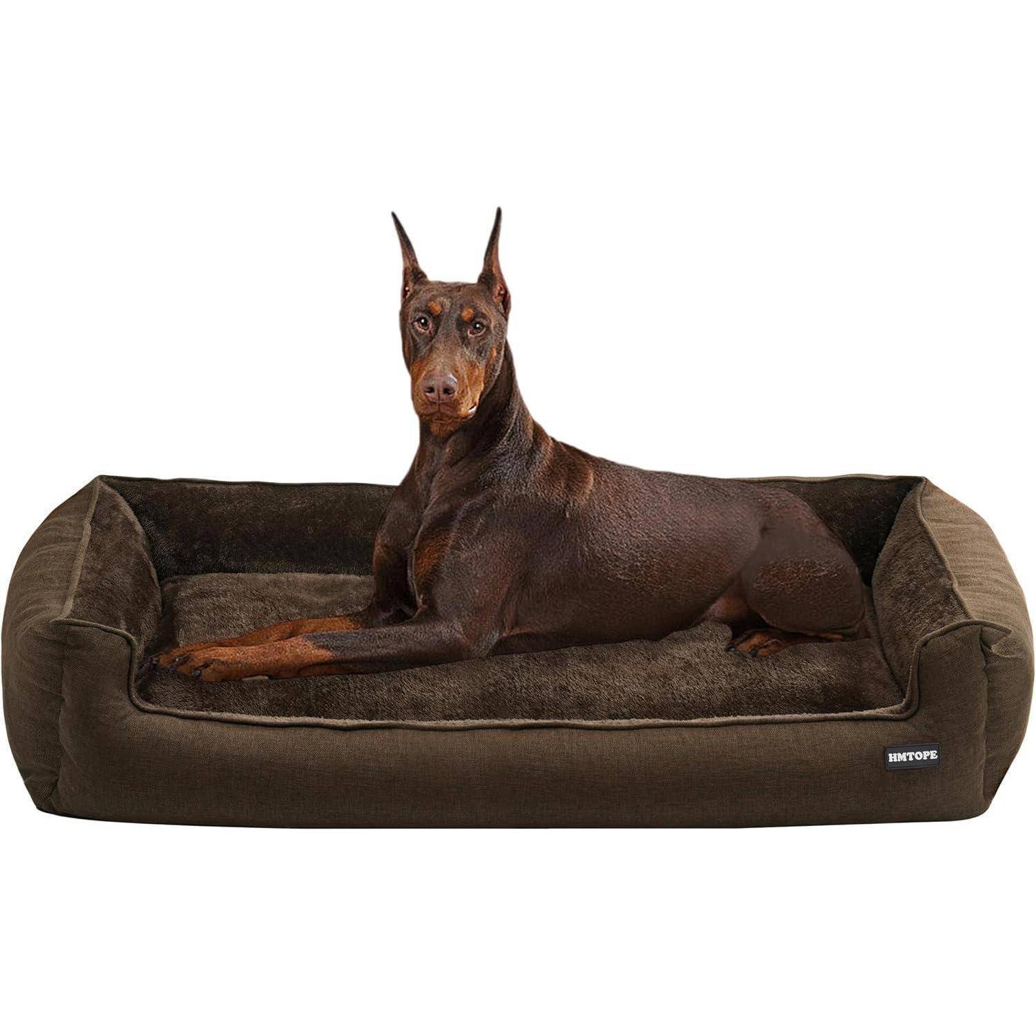 Ein brauner Dobermann liegt gemütlich auf einem großen dunkelbraunen Hundebett und schaut nach vorne. Der Hund wirkt entspannt und aufmerksam.