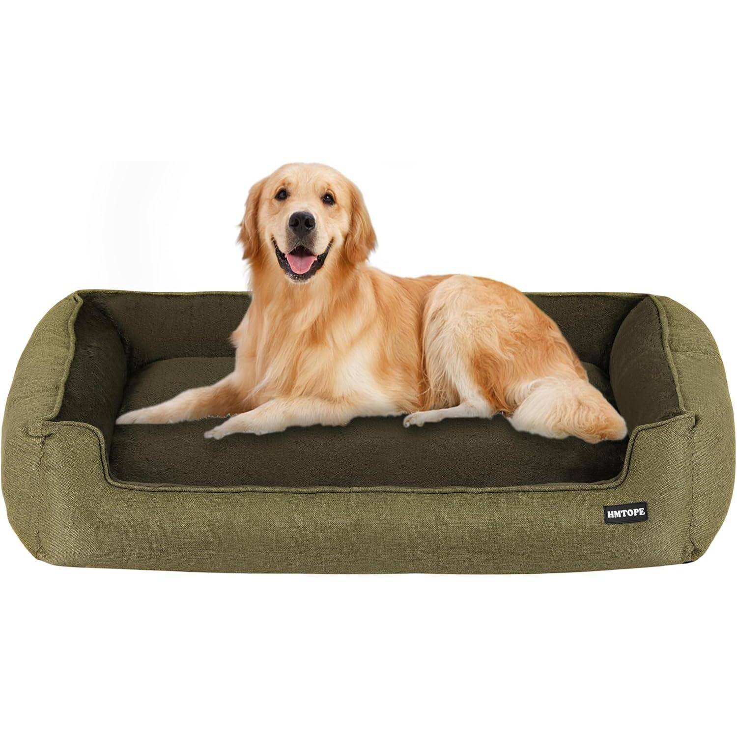 Ein Golden Retriever liegt gemütlich auf einem grünen Hundebett und blickt mit offenem Maul in die Kamera, entspannt und zufrieden wirkend.