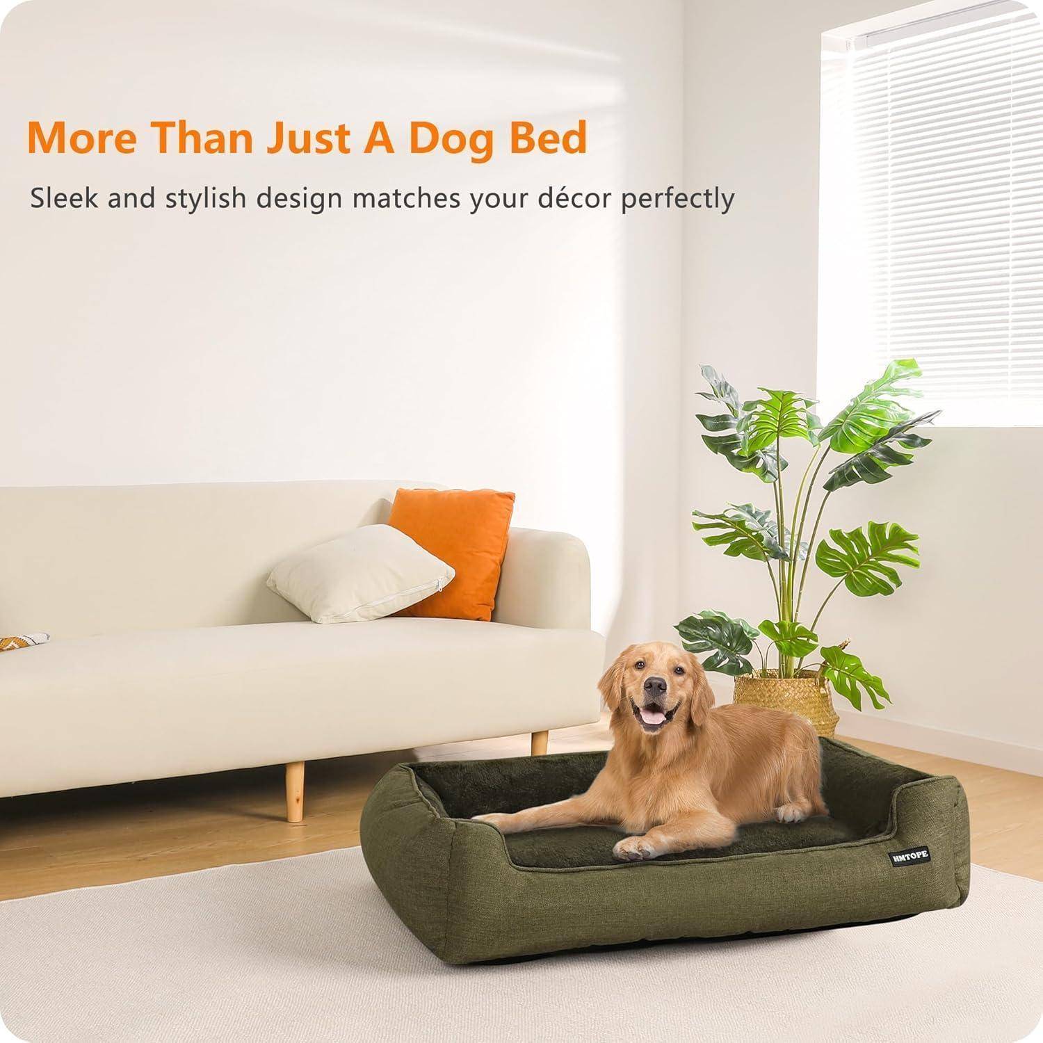 Ein Golden Retriever sitzt auf einem grünen Hundebett in einem modernen, hellen Wohnzimmer mit einem weißen Sofa, einem orangefarbenen Kissen und einer großen Pflanze.