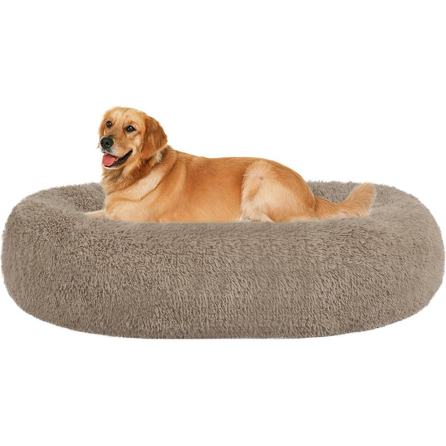 Ein Golden Retriever liegt gemütlich auf einem großen, flauschigen, braunen Hundebett. Der Hund erscheint entspannt und zufrieden.