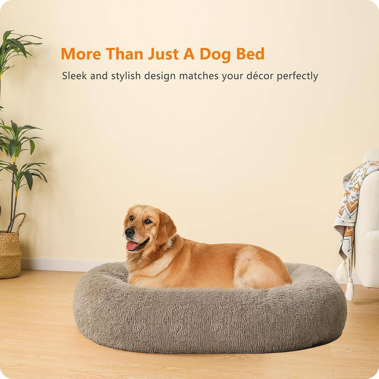 Ein Hund liegt gemütlich auf einem grauen Plüschbett in einem gemütlichen Raum. Text oben liest sich: 'Mehr als nur ein Hundebett' und 'Schlankes und stilvolles Design passt sich perfekt Ihrer Einrichtung an.