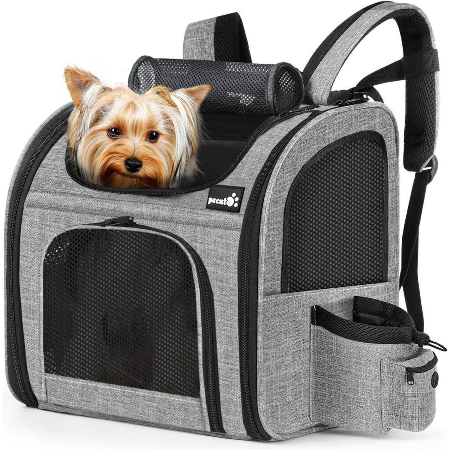 Ein kleiner Hund schaut aus der oberen Öffnung eines grauen Haustier-Tragerucksacks heraus, der Maschen-Fenster und Seitentaschen sowie einen Schultergurt aufweist.