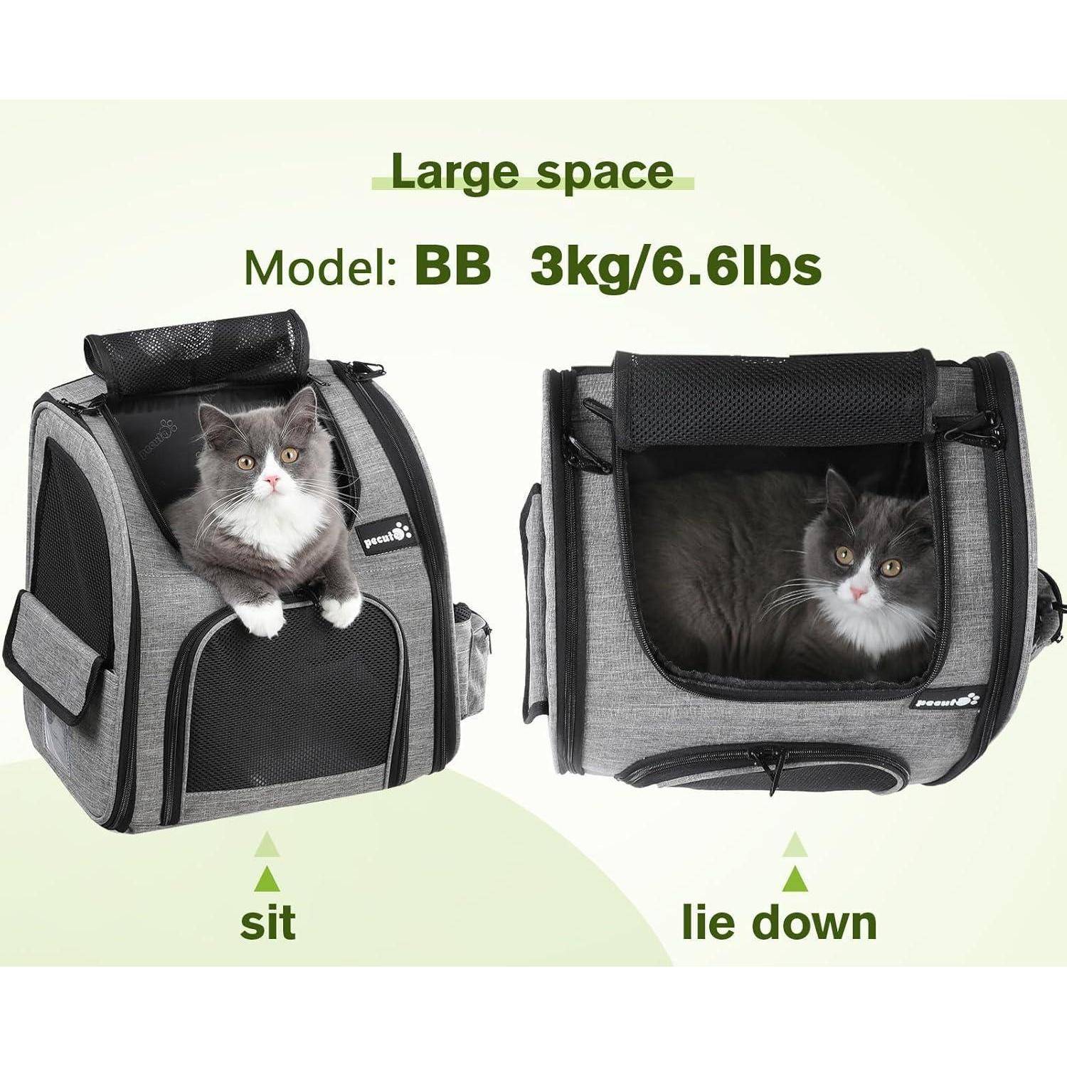 Zwei Katzen in Transportboxen sind zu sehen. Eine Katze sitzt, die andere liegt. Text lautet: 'Großraum Modell: BB 3kg/6,6 Pfund.