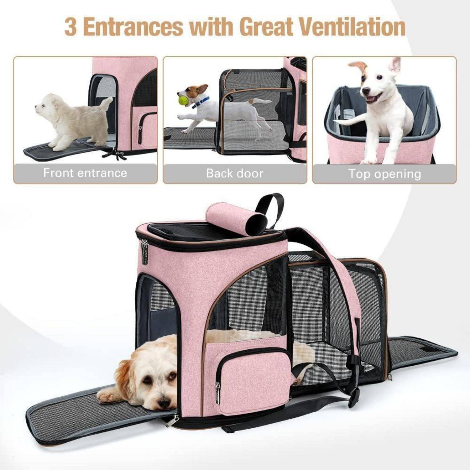 Hundetransportbox mit drei Eingängen: vorne, hinten und oben; dargestellt mit einem Hund im Inneren und separaten Ansichten der einzelnen Öffnungen.