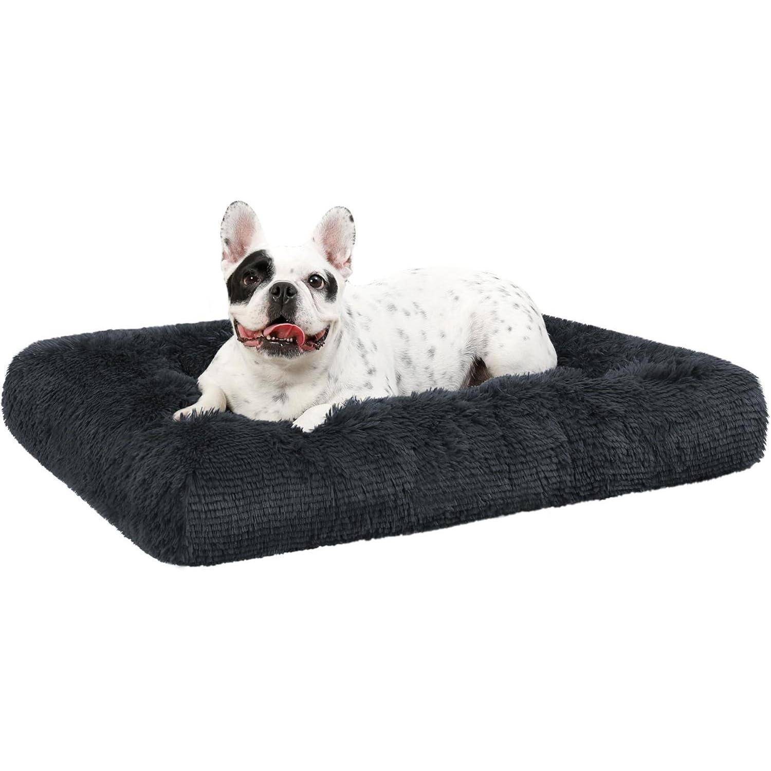 Ein schwarzweißer Hund mit einem Fleck über einem Auge liegt zufrieden auf einem plüschigen, dunkelgrauen Hundebett.