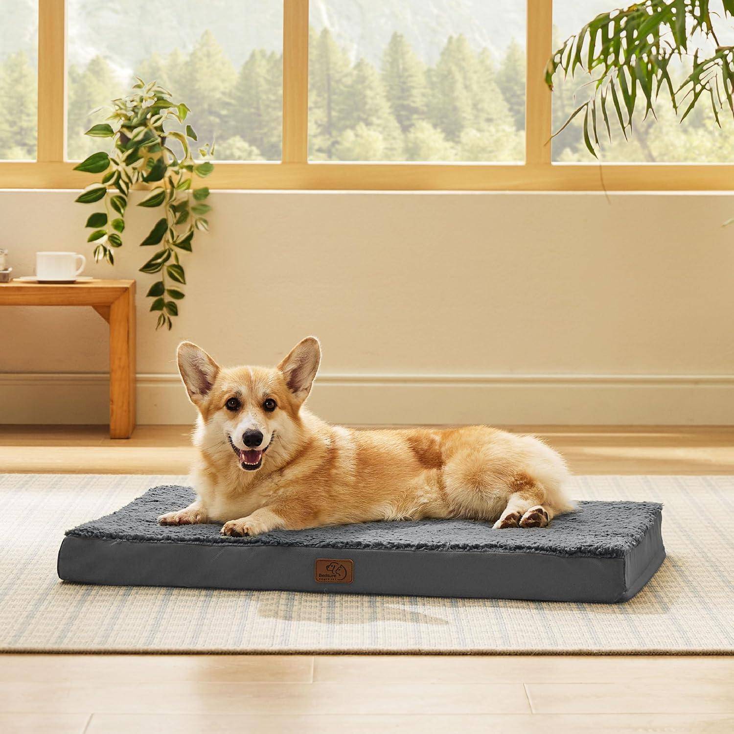 Ein Corgi, der auf einem grauen Haustierkorb in einem gemütlichen Raum mit Holzmöbeln und Topfpflanzen liegt, mit Blick aus einem großen Fenster auf grüne Hügel.