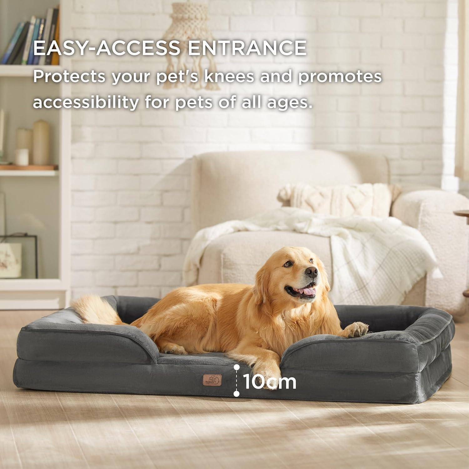 Goldretriever, der auf einem Hundebett mit 10 cm niedrigem Einstieg liegt, platziert in einem gemütlichen Wohnzimmer. Der Text hebt die Zugänglichkeit für alle Haustiere hervor.