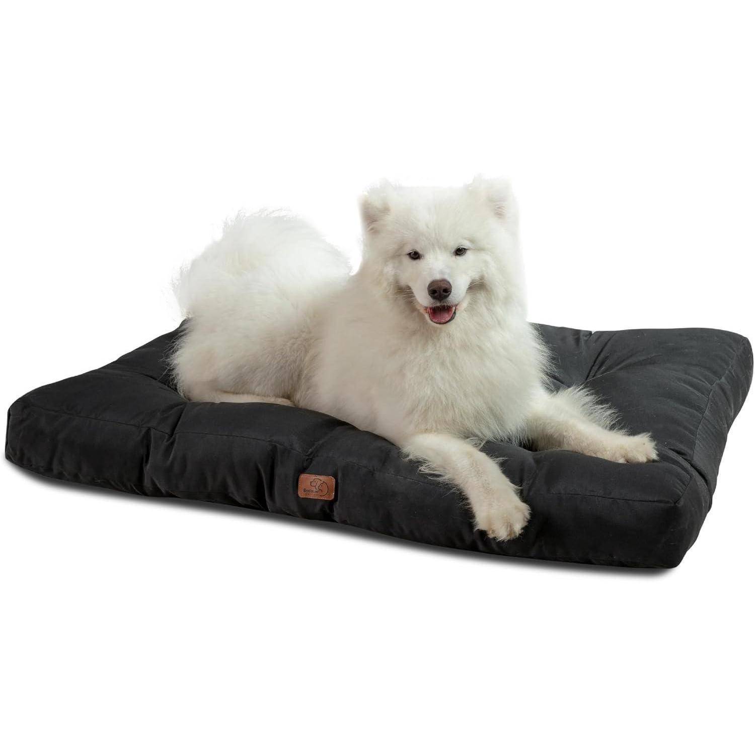 Ein flauschiger weißer Hund entspannt sich auf einem schwarzen Tierbett und wirkt zufrieden und glücklich.