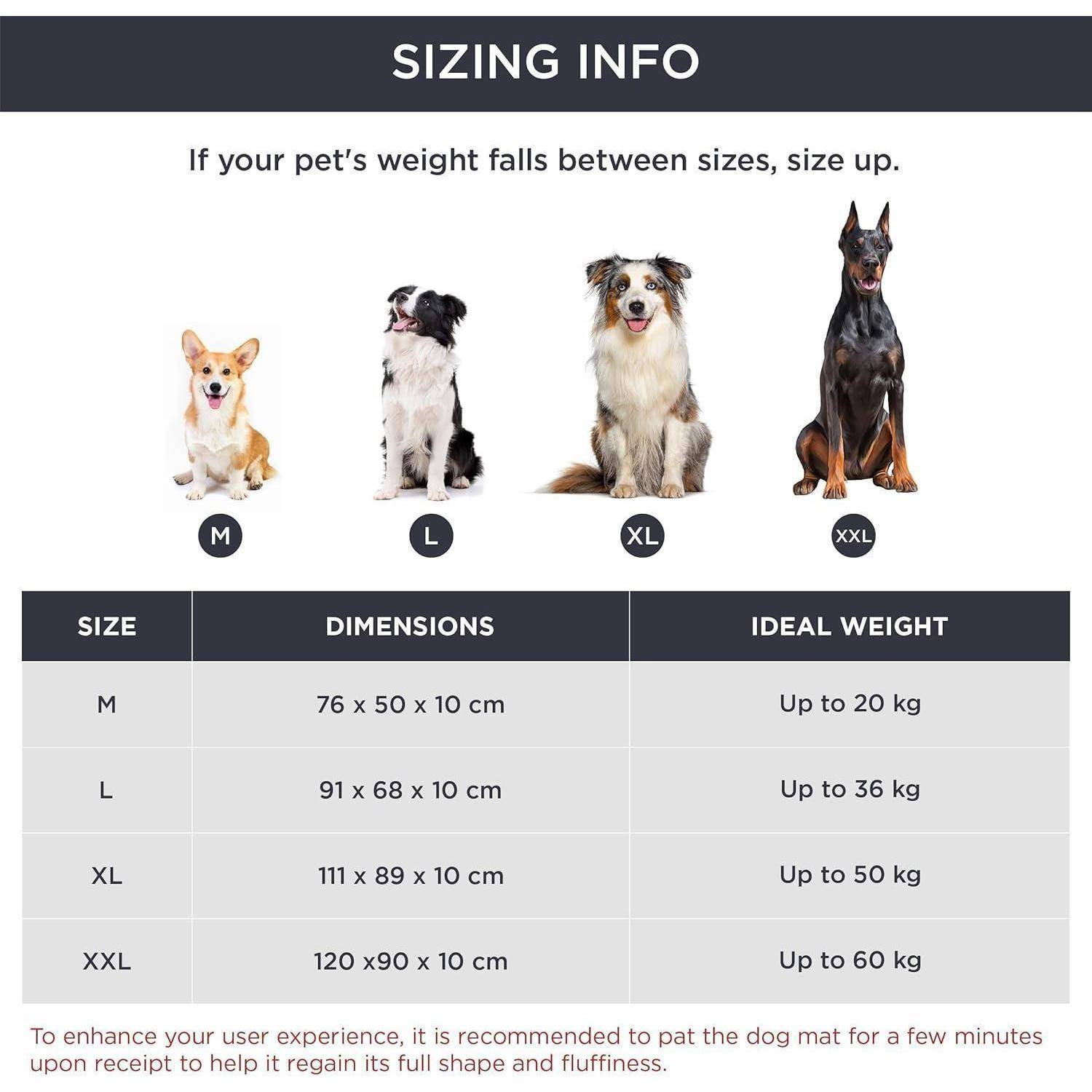 Größeninfo-Tabelle für Haustierbetten: M (76x50x10cm) bis 20kg, L (91x68x10cm) bis 30kg, XL (111x89x10cm) bis 50kg, XXL (120x90x10cm) bis 60kg.