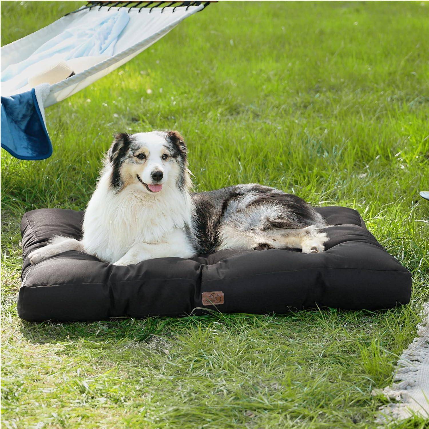 Ein Hund mit weiß-grauem Fell liegt zufrieden auf einem schwarzen Kissen in einem grasbedeckten Garten, wobei eine blaue Hängematte im Hintergrund zu sehen ist.