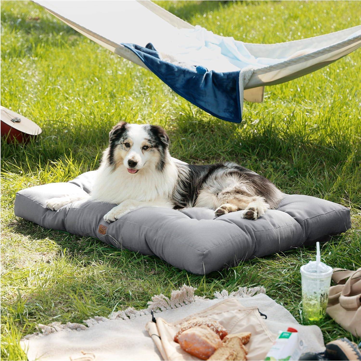 Ein Hund ruht auf einem grauen Kissen, das auf Gras platziert ist, in der Nähe einer Hängematte. Eine Picknickausstattung mit einem Getränk und einem Sandwich ist im Vordergrund sichtbar und deutet auf eine entspannte Outdoor-Szene hin.