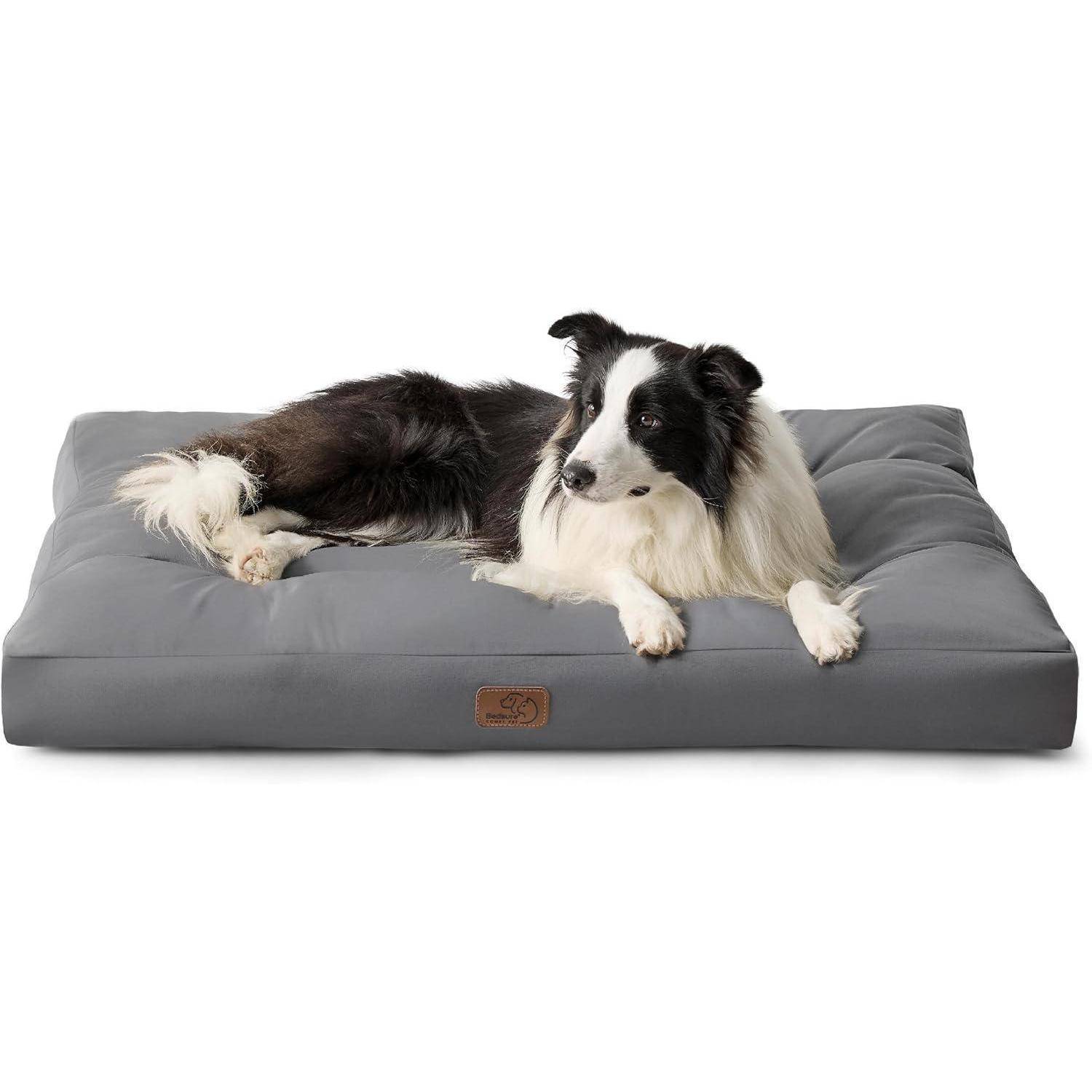 Ein schwarz-weißer Hund liegt gemütlich auf einem grauen rechteckigen Hundebett und blickt zur Seite. Das Bett hat ein Lederetikett an der Vorderseite.