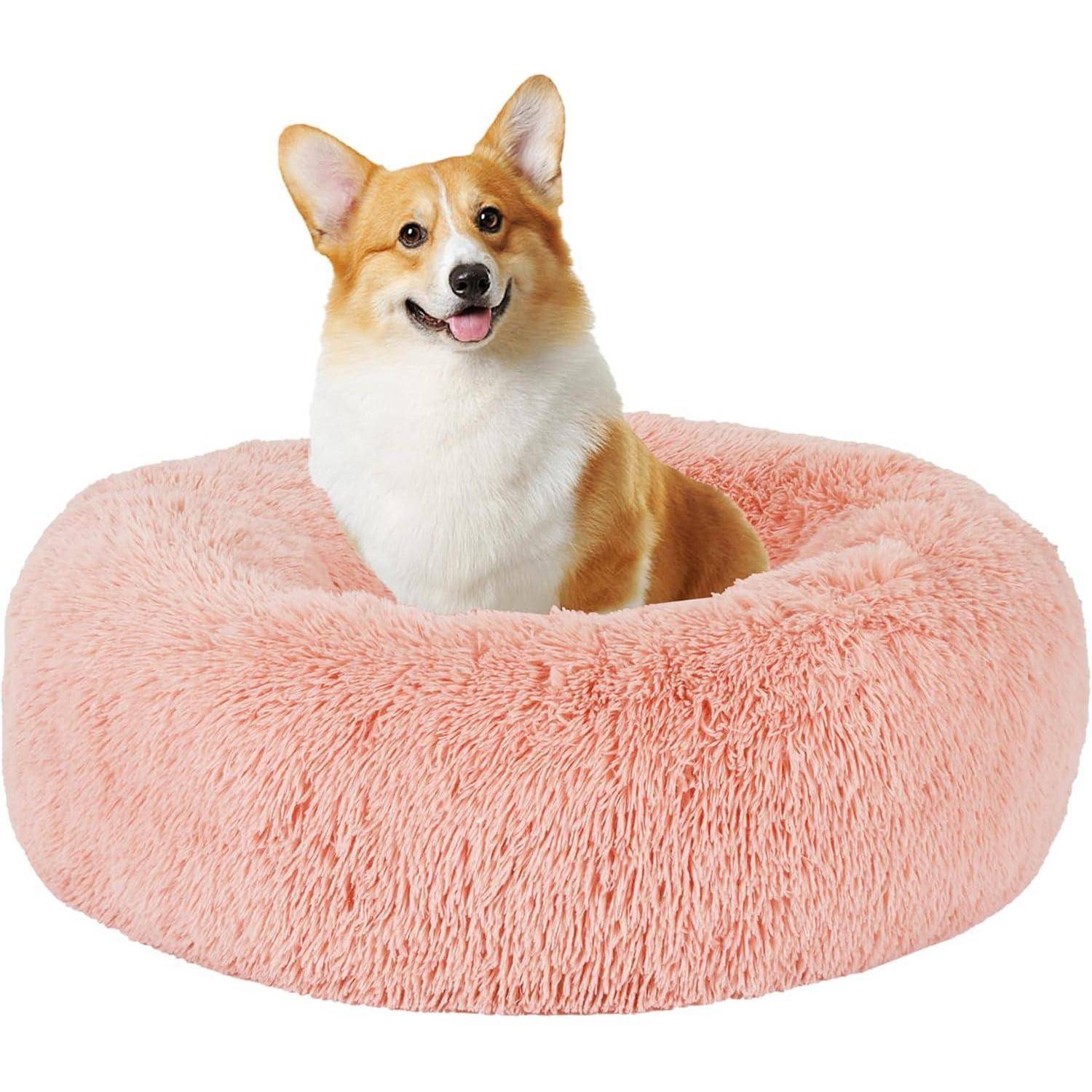 Ein lächelnder Corgi sitzt gemütlich in einem großen, flauschigen rosa Hundebett und wirkt zufrieden und entspannt.