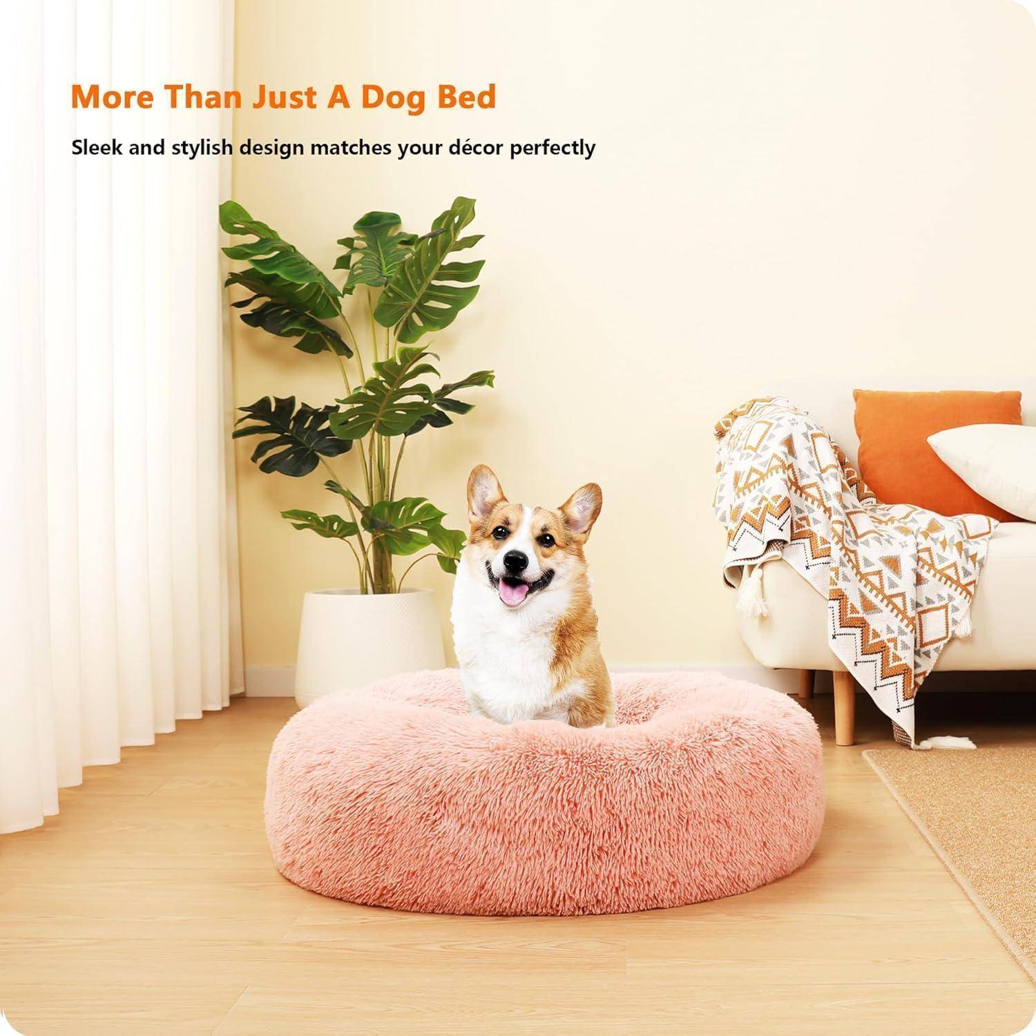 Ein Corgi sitzt auf einem plüschigen rosa Hundebett in einem gemütlichen Raum. Der Text lautet 