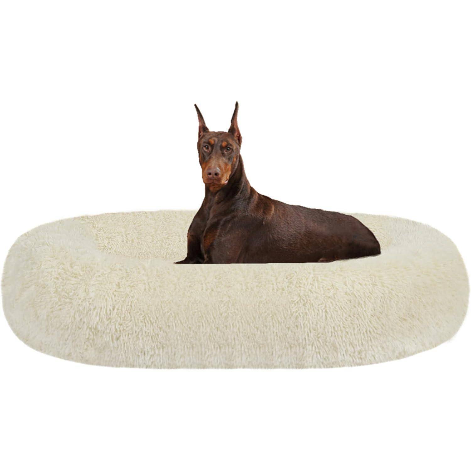 Ein Dobermann, der auf einem großen, flauschigen weißen Hundebett ruht und mit aufgestellten Ohren und aufmerksamer Miene in die Kamera blickt.