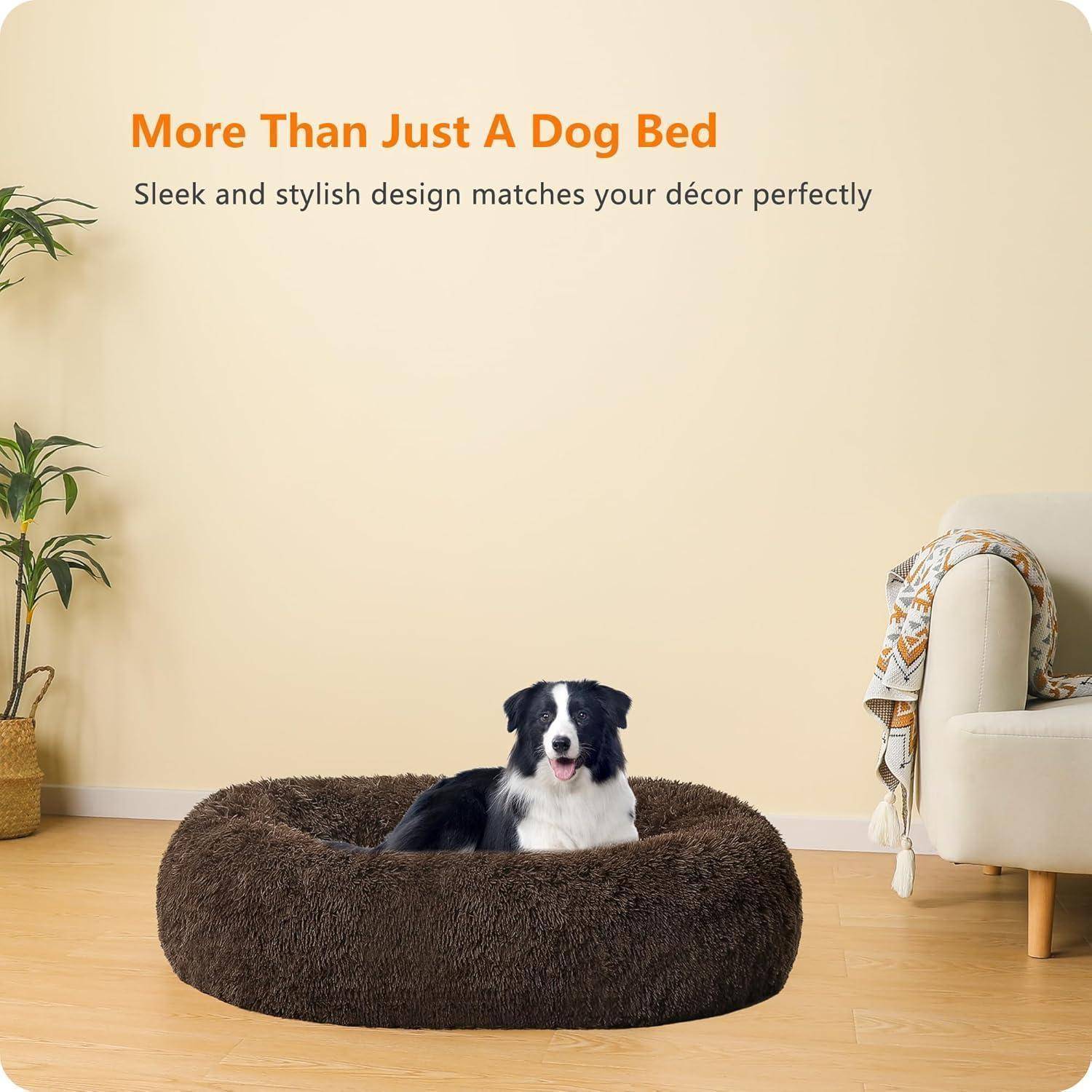 Ein schwarz-weißer Hund, der in einem runden, braunen Plüsch-Hundebett in einem Wohnzimmer mit einer hellen Wand, einem Stuhl und einer Pflanze sitzt und Gemütlichkeit veranschaulicht.