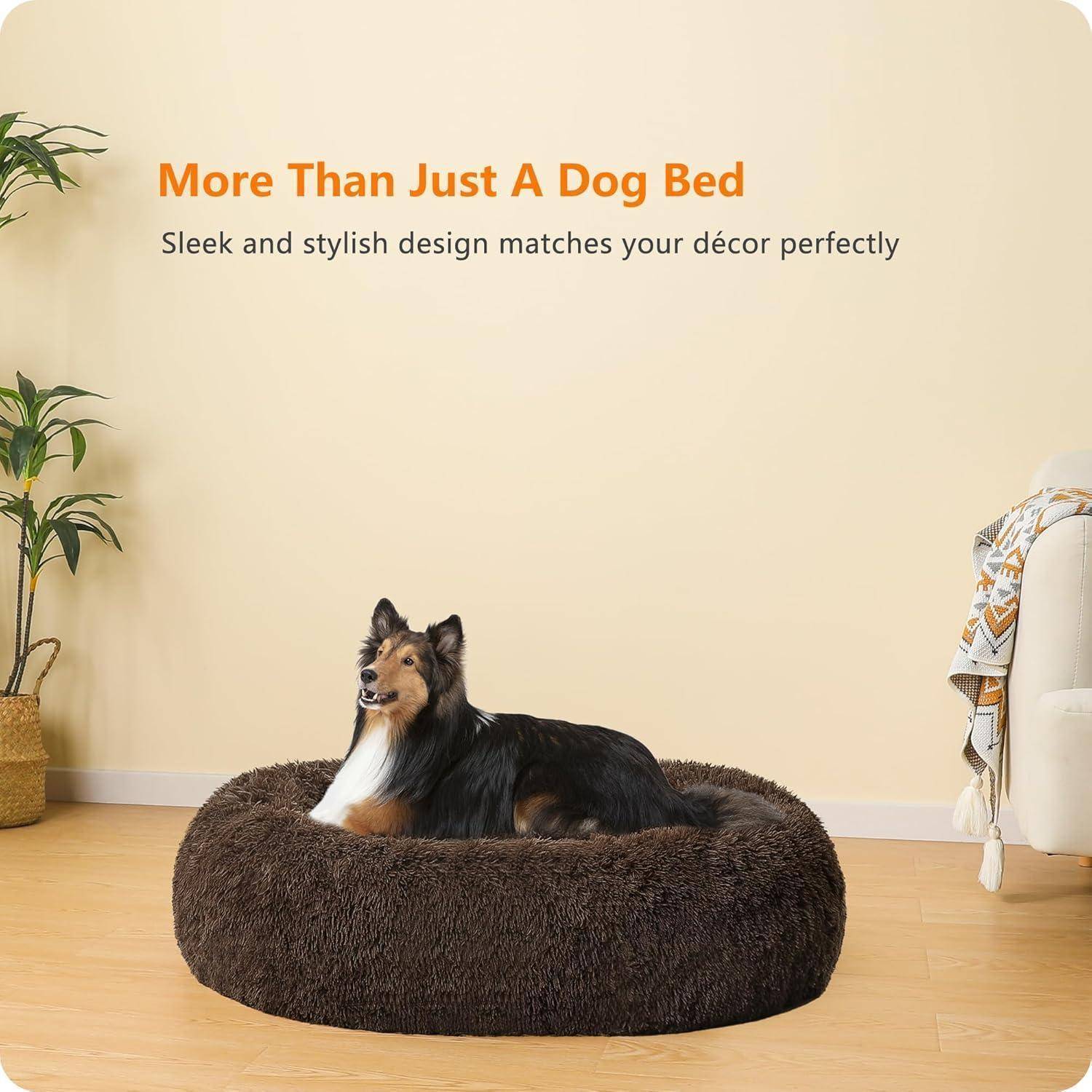 Ein Hund ruht auf einem braunen, plüschigen Bett in einem gemütlichen Raum. Text lautet: „Mehr als nur ein Hundebett: Elegantes und stilvolles Design, das sich perfekt in Ihre Einrichtung einfügt.